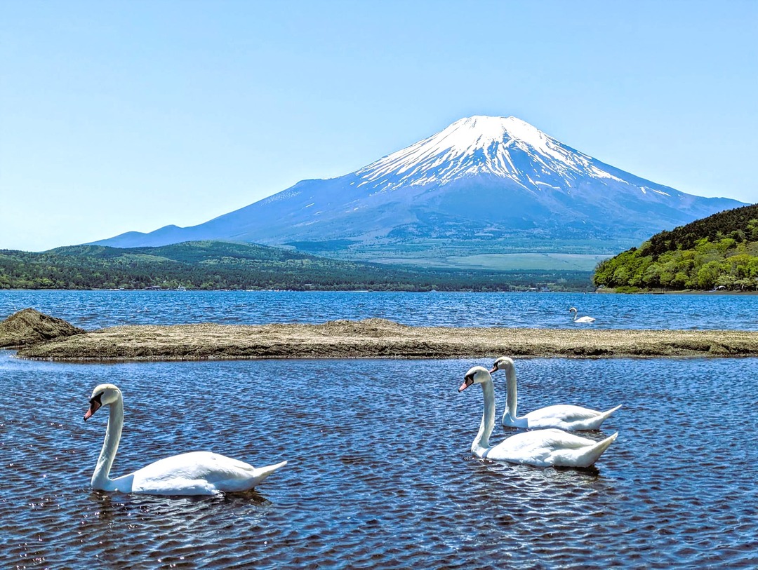在山中湖360度欣賞壯闊富士山