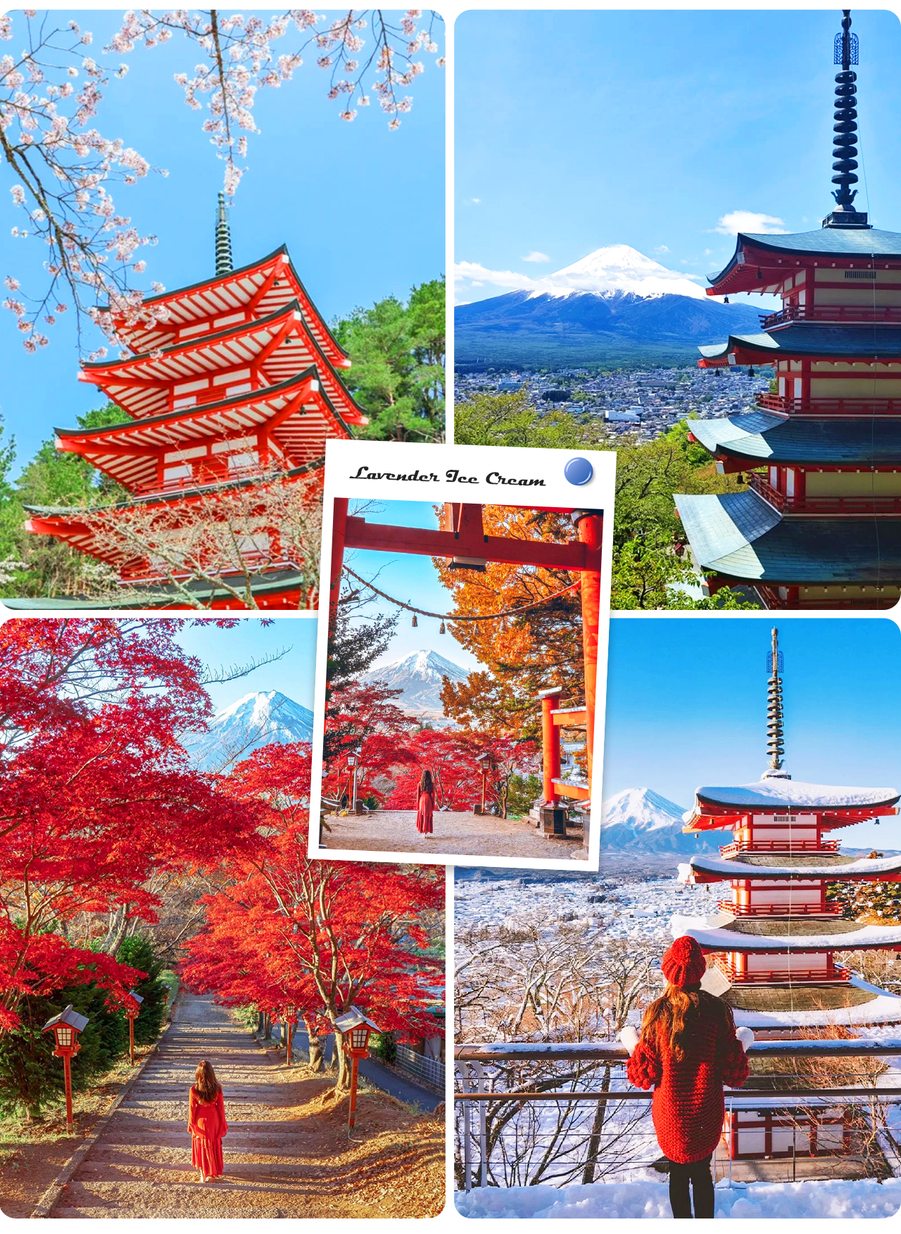 春賞櫻花、夏看綠意、秋觀紅葉、冬映雪景,四季皆展現富士山的獨特風華。 春賞櫻花、夏看綠意、秋觀紅葉、冬映雪景,四季皆展現富士山的獨特風華。