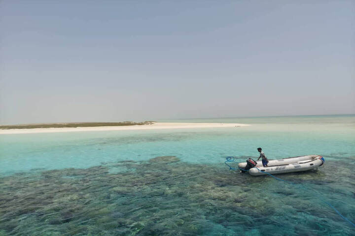 hamata_snorkeling_trip