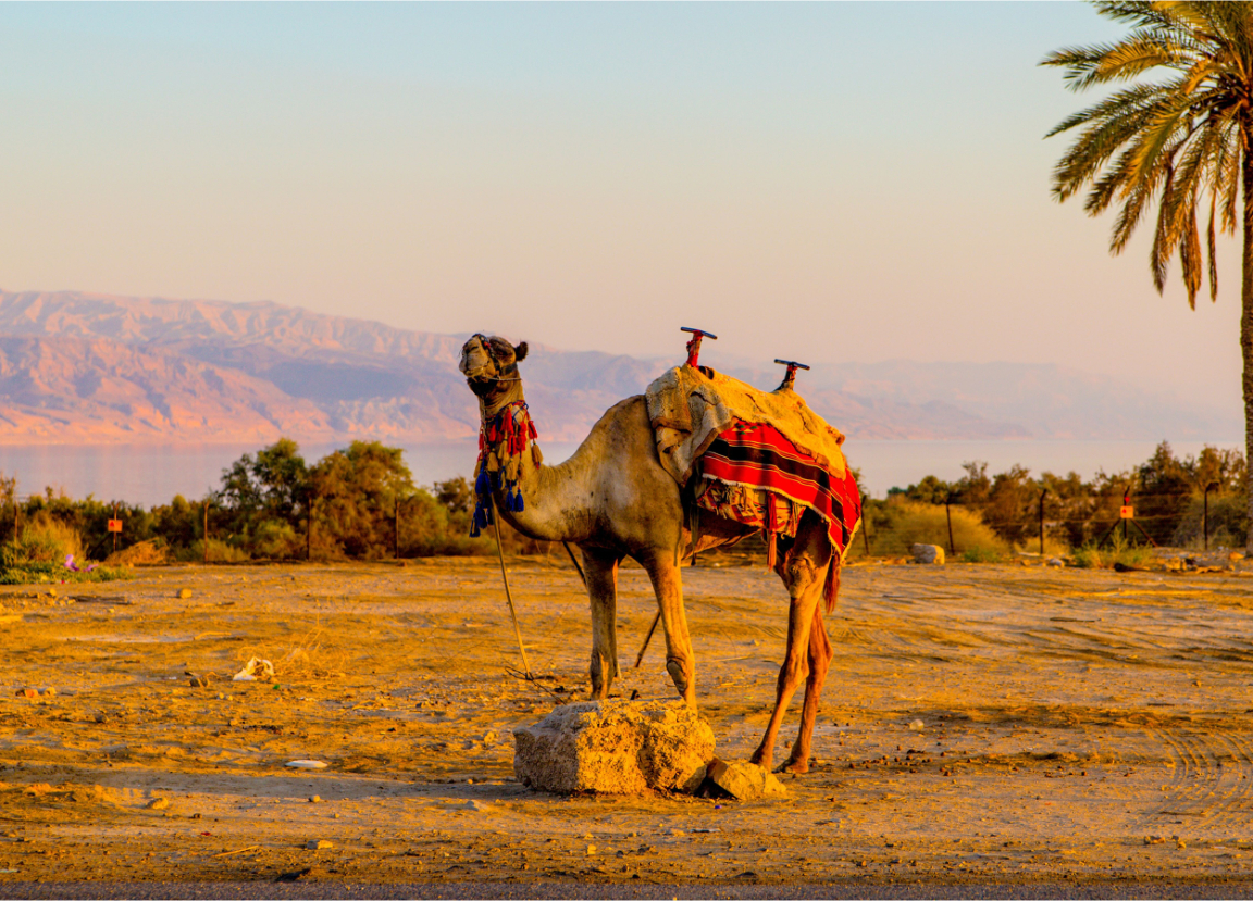 4-Days Desert Merzouga Tour To Marrakech From Fes