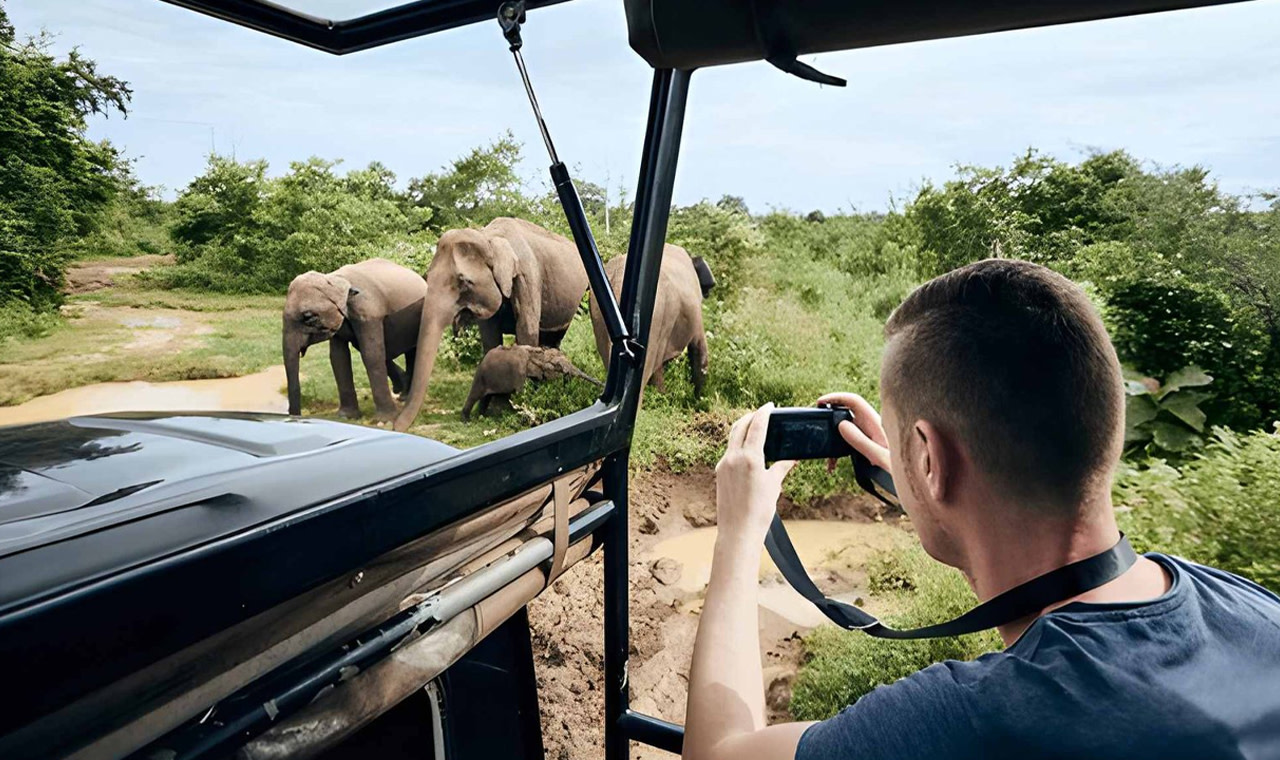 Private Tour from Ella to Hiriketiya with Udawalawe Safari