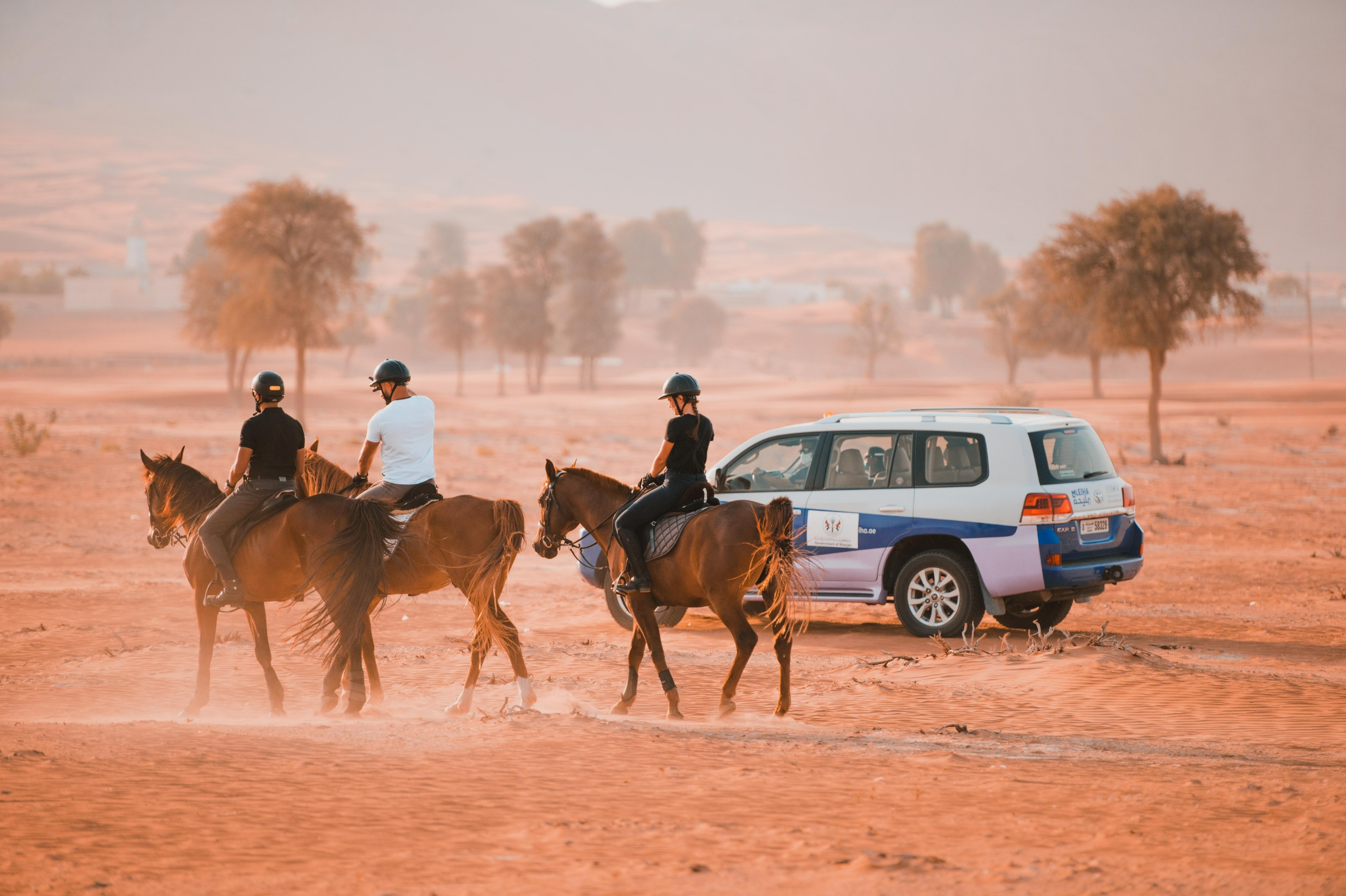 沙加 Mleiha 考古中心騎馬體驗