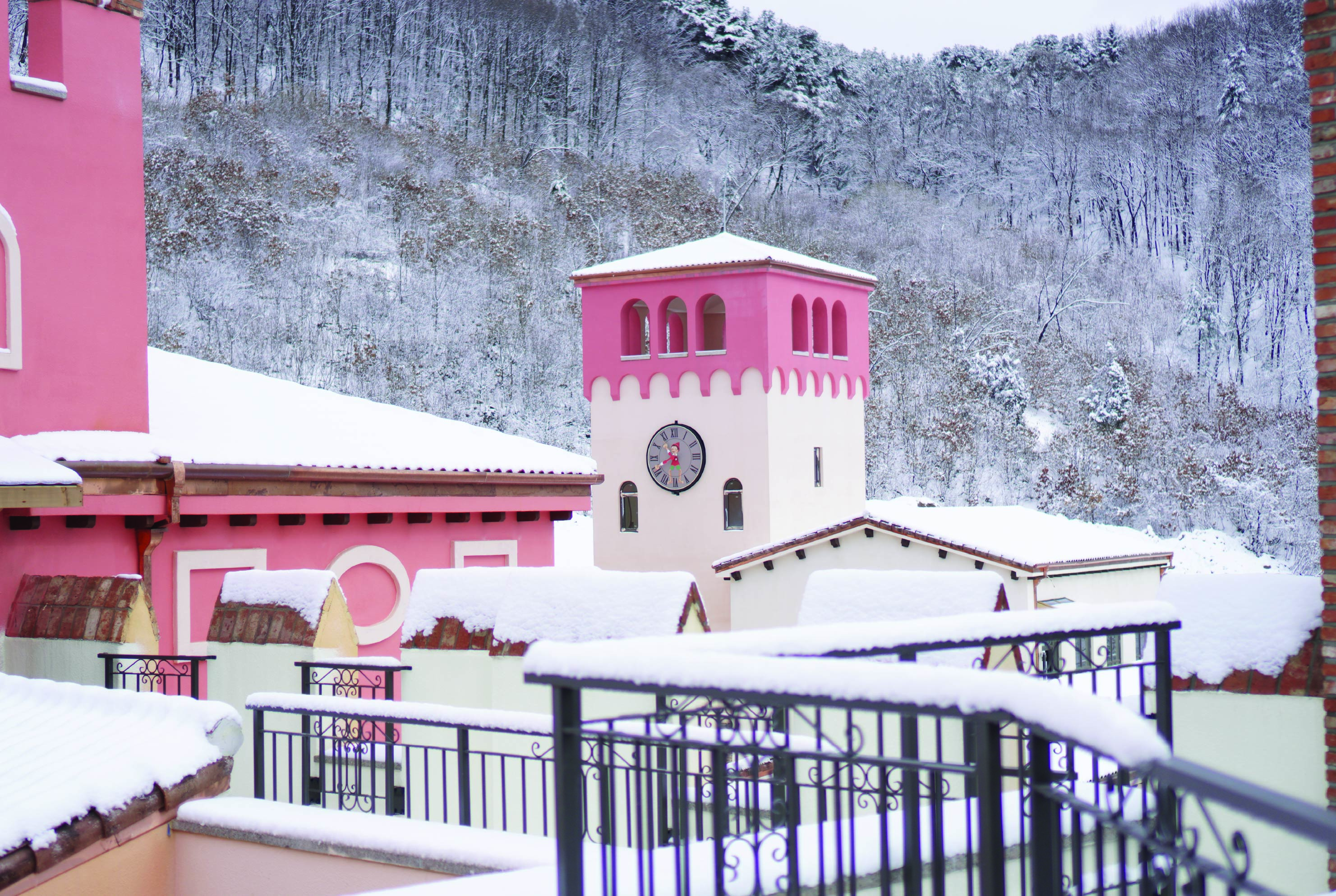 南怡島 (Nami Island) & 伊甸園冰雪世界 (Eobi Ice Valley) & 全景場 (Panorama Field) &  晨靜樹木園 (Morning Calm) 旅遊