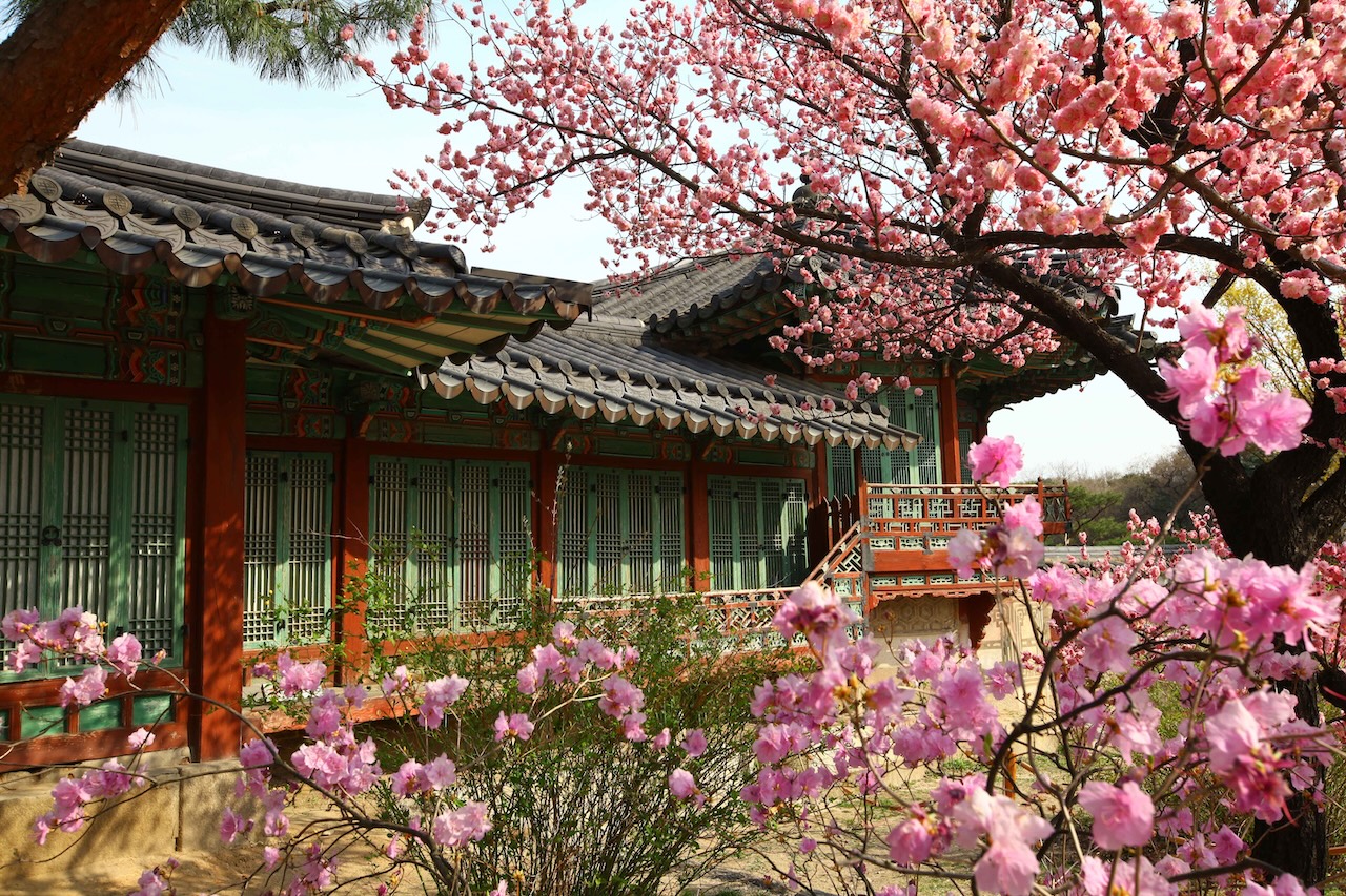 首爾市場、藥膳和寺廟素食烹飪體驗