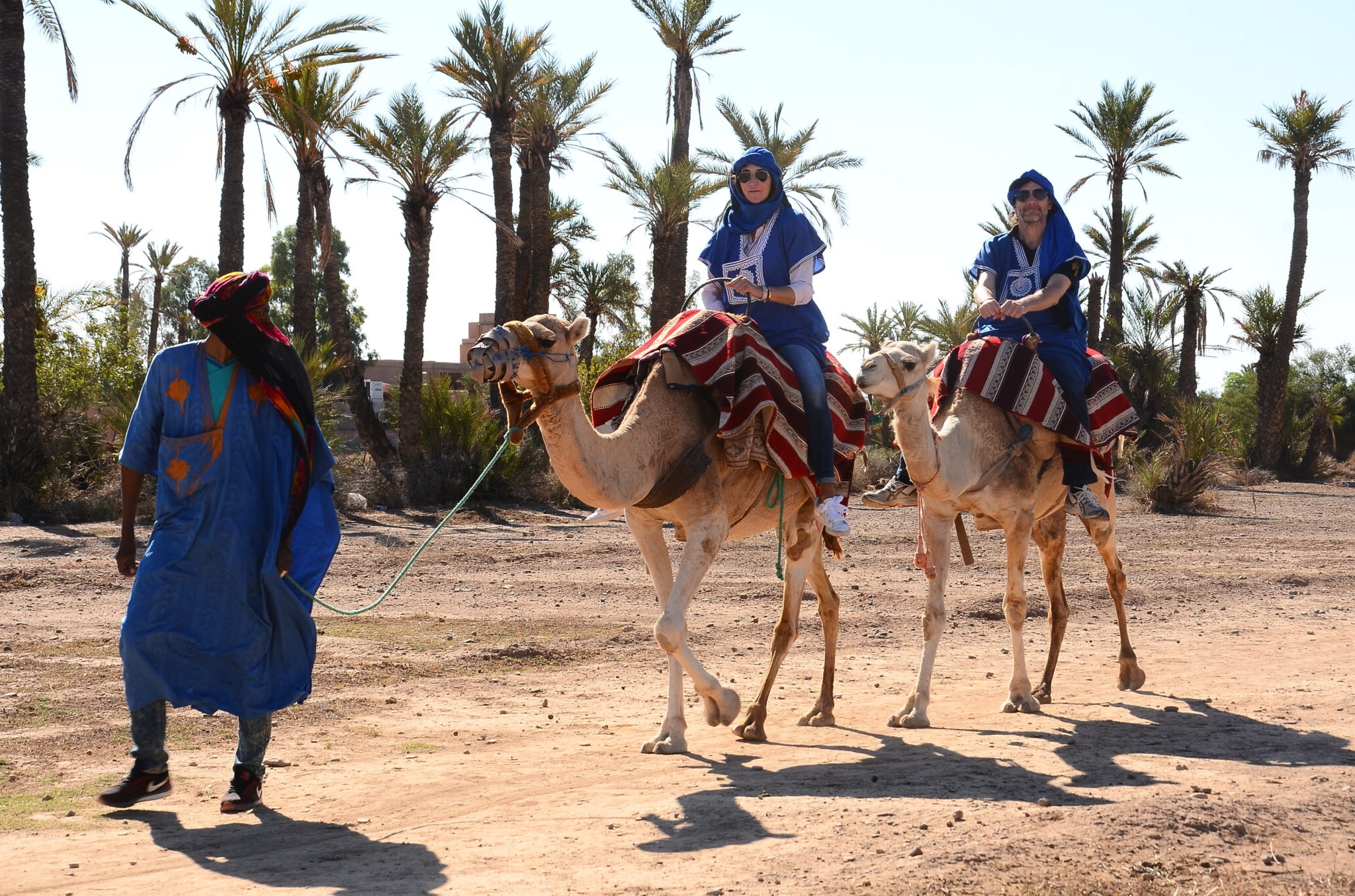 Marrakech Camel Ride In Palmeraie 