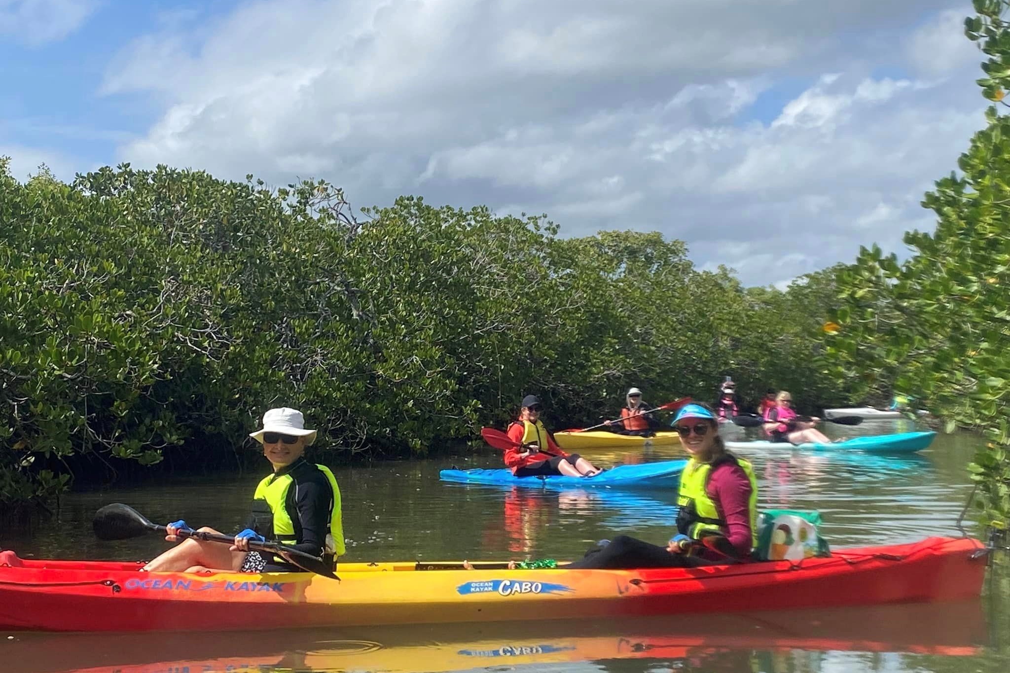 Mangroves and Mansions Guided Kayak Tour of Noosa River