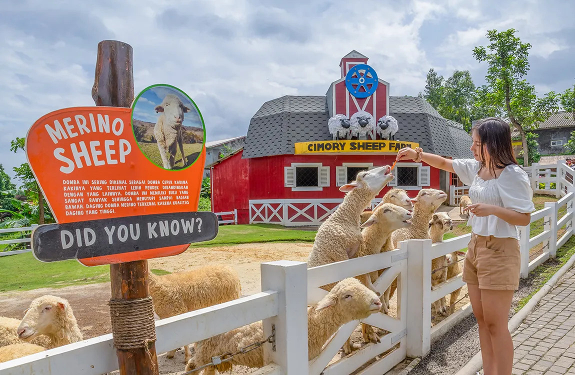 Dairyland Farm Theme Park Ticket in Prigen