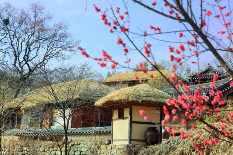 作為聯合國教科文組織世界遺產地，良洞村 (Yangdong Village) 體現了韓國深厚的歷史底蘊和傳統生活方式。