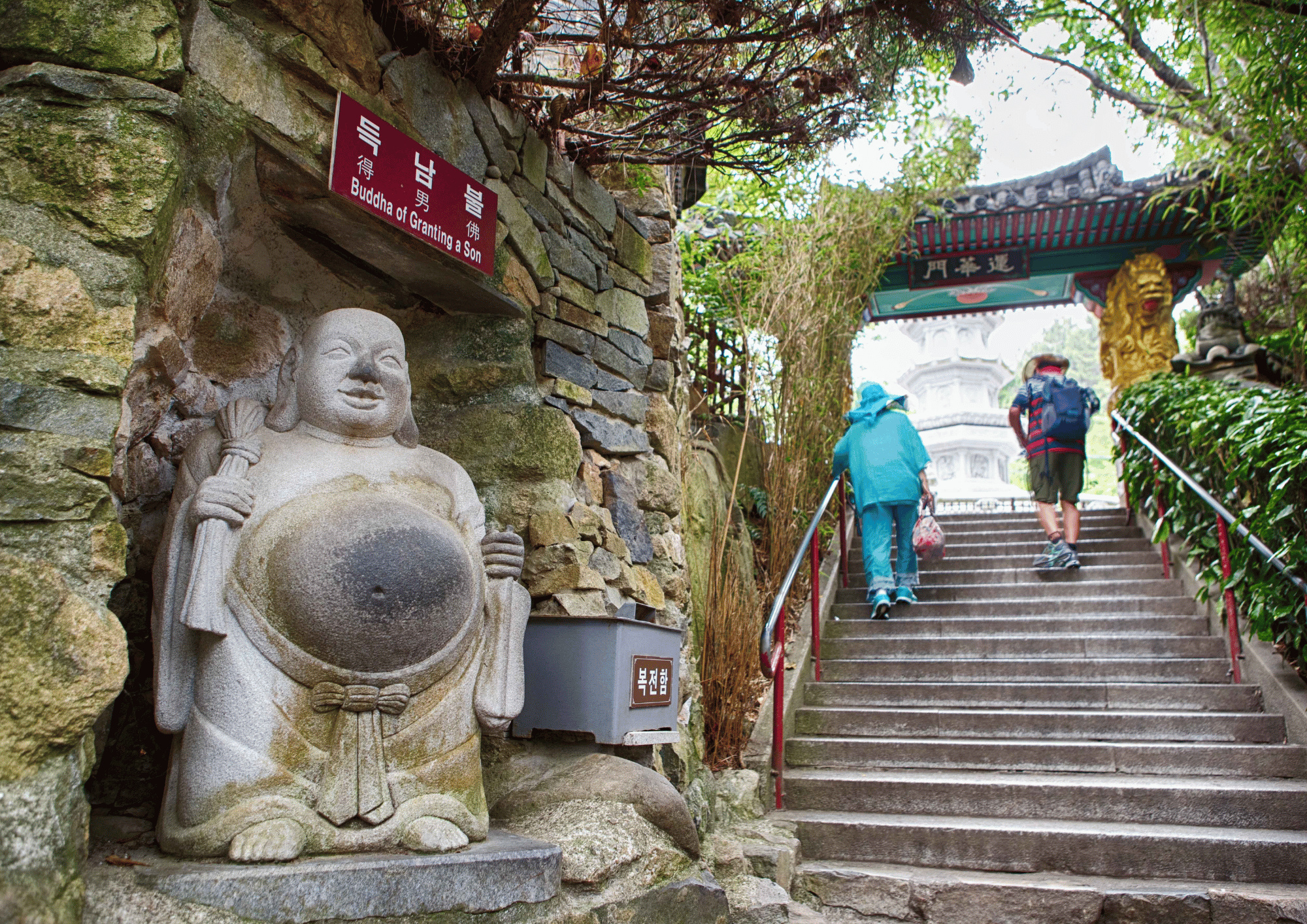 釜山精彩之旅：龍頭寺、甘川洞文化村和松島天空步道