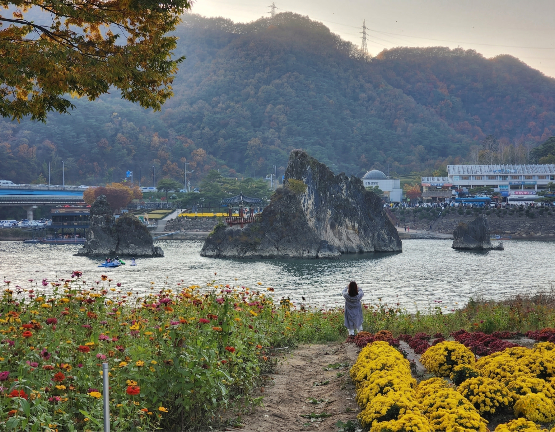沿著河畔步道漫步，欣賞季節花卉如波浪般綻放。在黃色菊花的芬芳中，感受河風輕拂，享受放鬆療癒的時光。