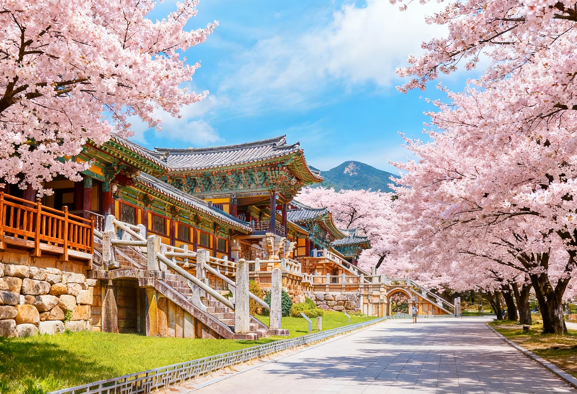 佛國寺是韓國著名的歷史遺蹟，以其美麗的寺廟建築和在韓國佛教中的重要作用而聞名。