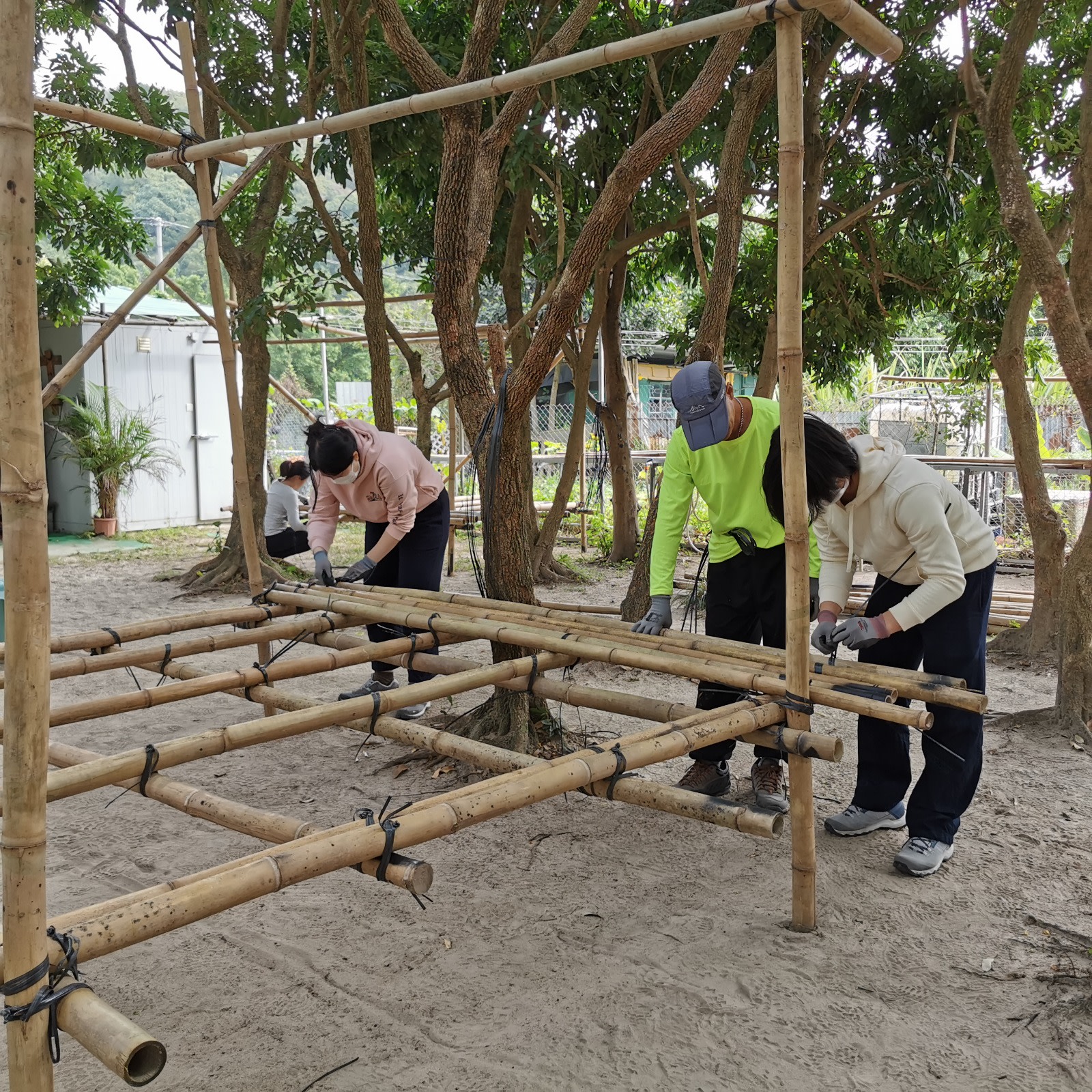 New experience with "Bamboo"