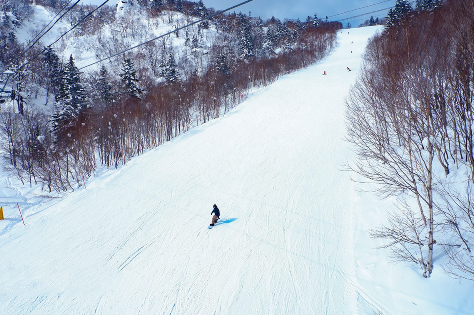 北海道札幌小樽觀光札幌國際滑雪場/玩雪一日遊/適合初學者和中高階滑雪者/多套餐選擇｜札幌出發