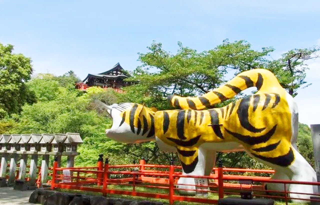 朝護孫子寺（信貴山寺），探訪與“虎（寅）”有著深厚淵源的古老寺院。這裡是欣賞“櫻雲景觀”的絕佳地點，漫山遍野的櫻花如雲似霞