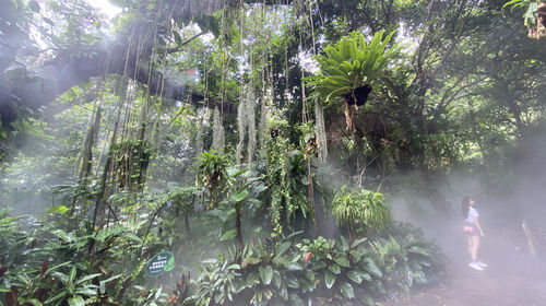 廈門園林植物園