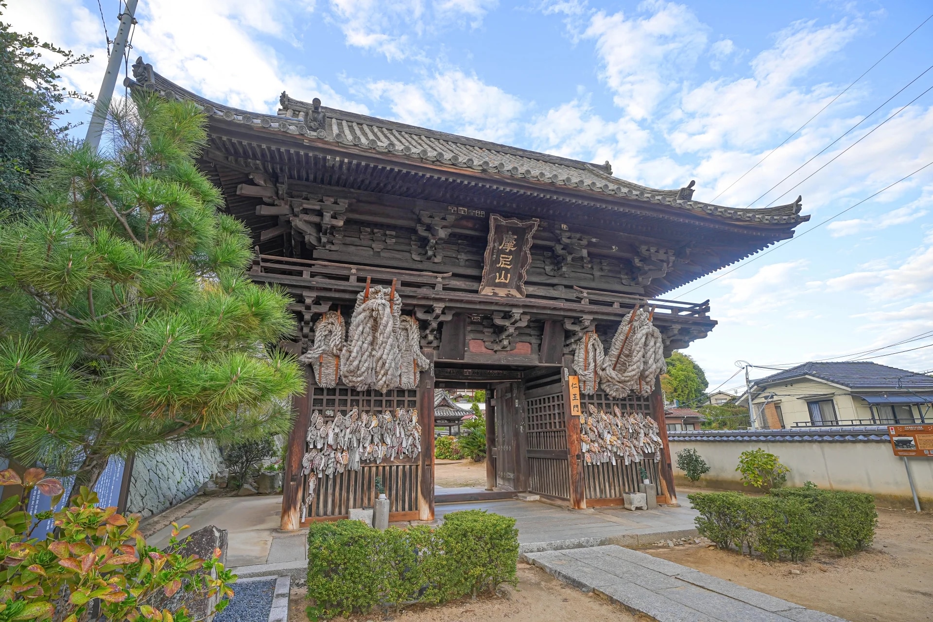 1-Day Tour: Onomichi Temples Exploration & Saijo Sake Tasting