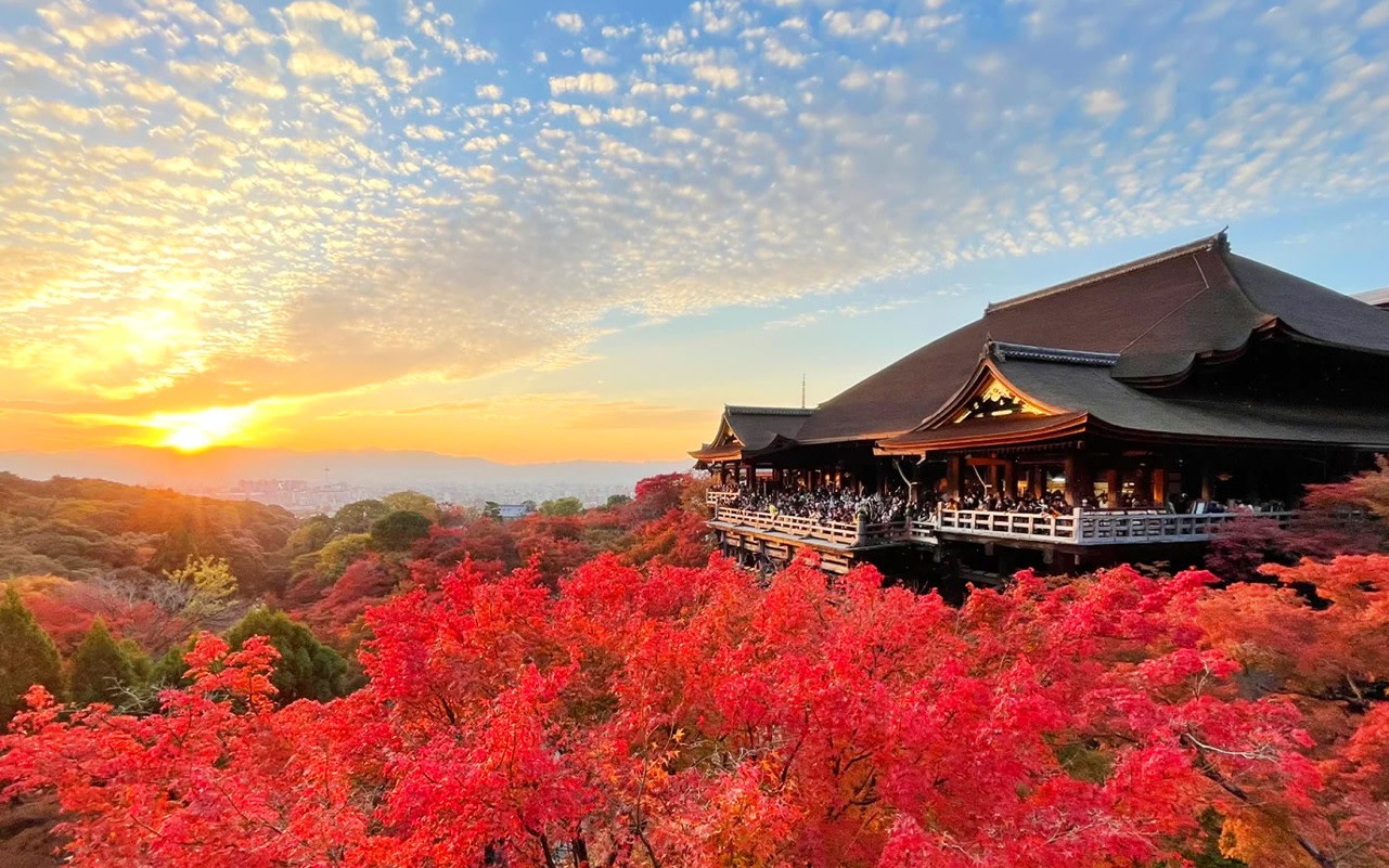 Kyoto & Nara Day Trip: Kiyomizu-dera Temple & Fushimi Inari Shrine & Nara Park (Departure from Osaka/Kyoto) 