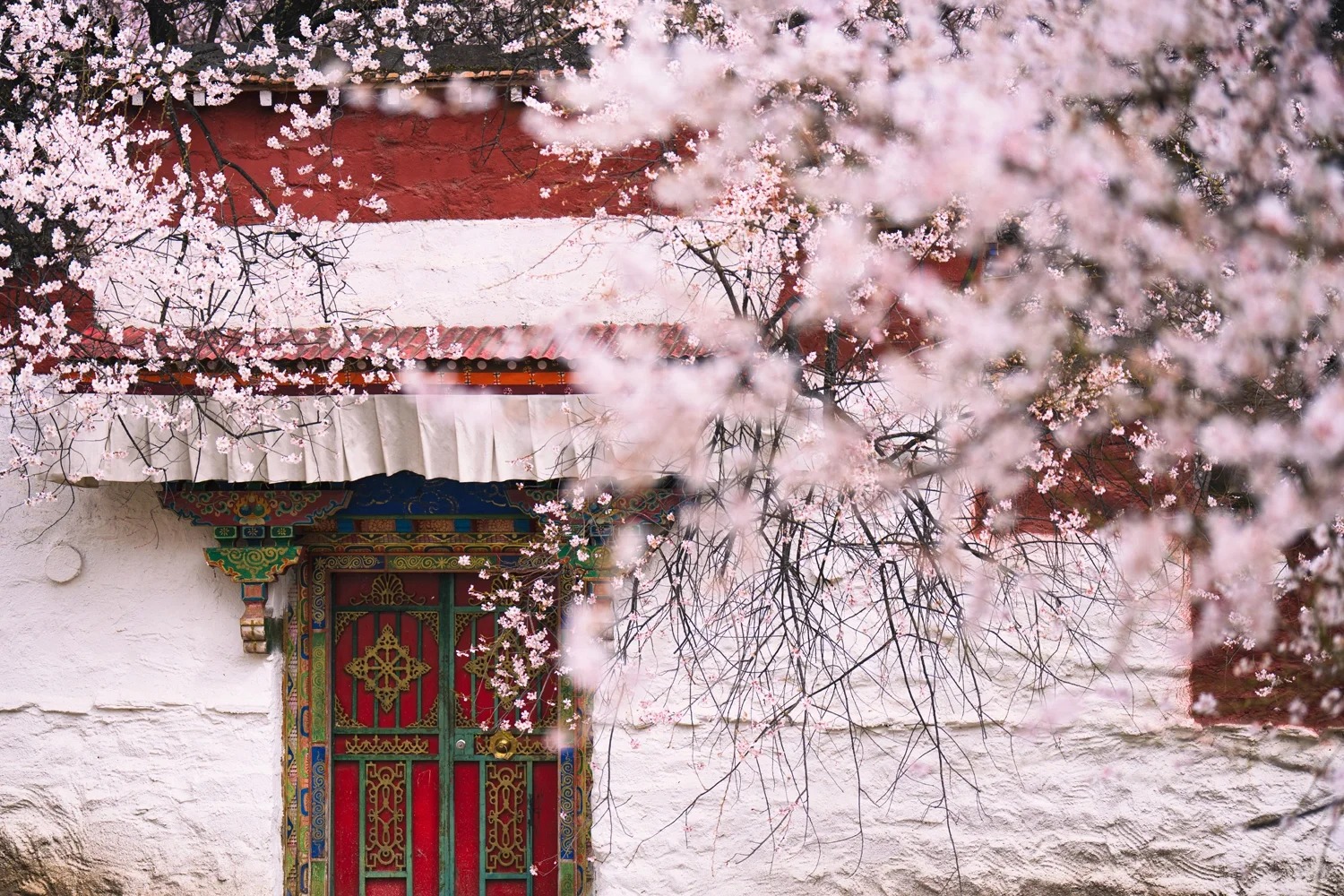 西藏林芝桃花6日（天后同款瑞吉/松贊系列+南迦巴瓦日照金山&平措康桑雪裡酒店+嘎拉桃花村+索松村+卡若拉冰川+私導講解布達拉宮大昭寺）