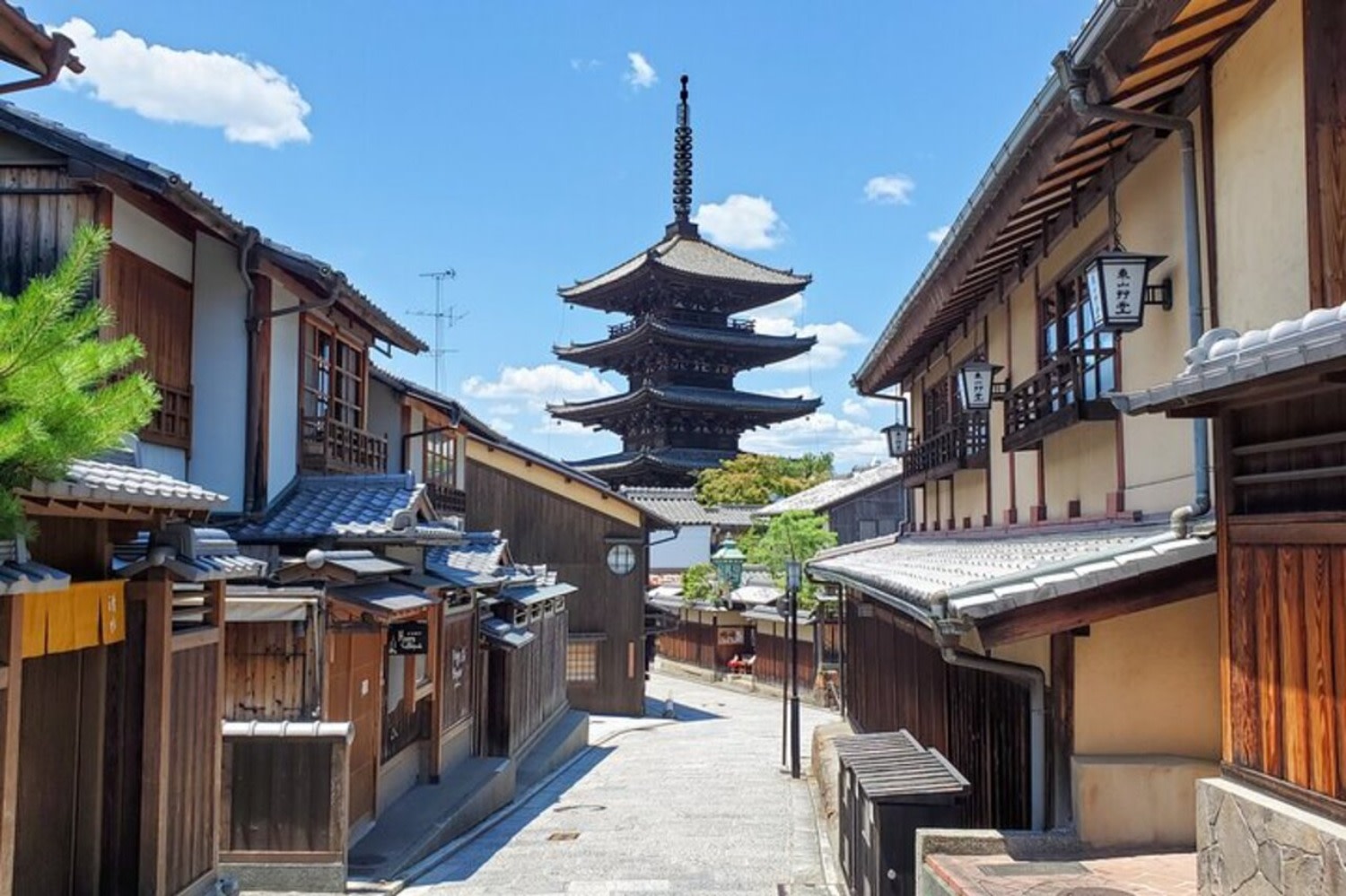 Kyoto 2 Popular Spots Half-Day Customizable Tour