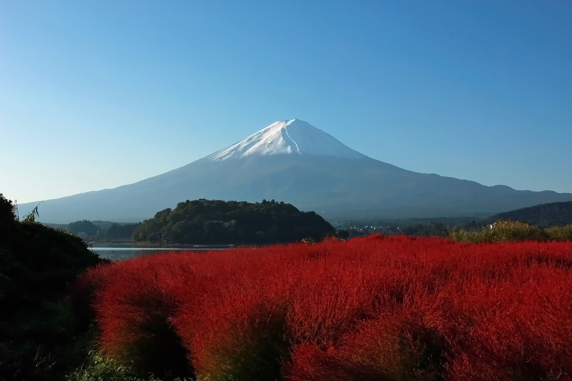 大石公園 & 富士山 & 時令水果採摘一日遊（東京出發）