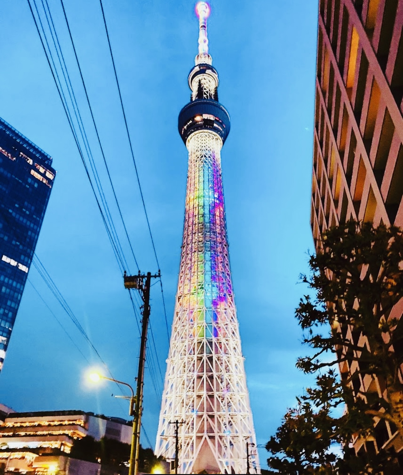 東京：包車遊覽，配有英文司機