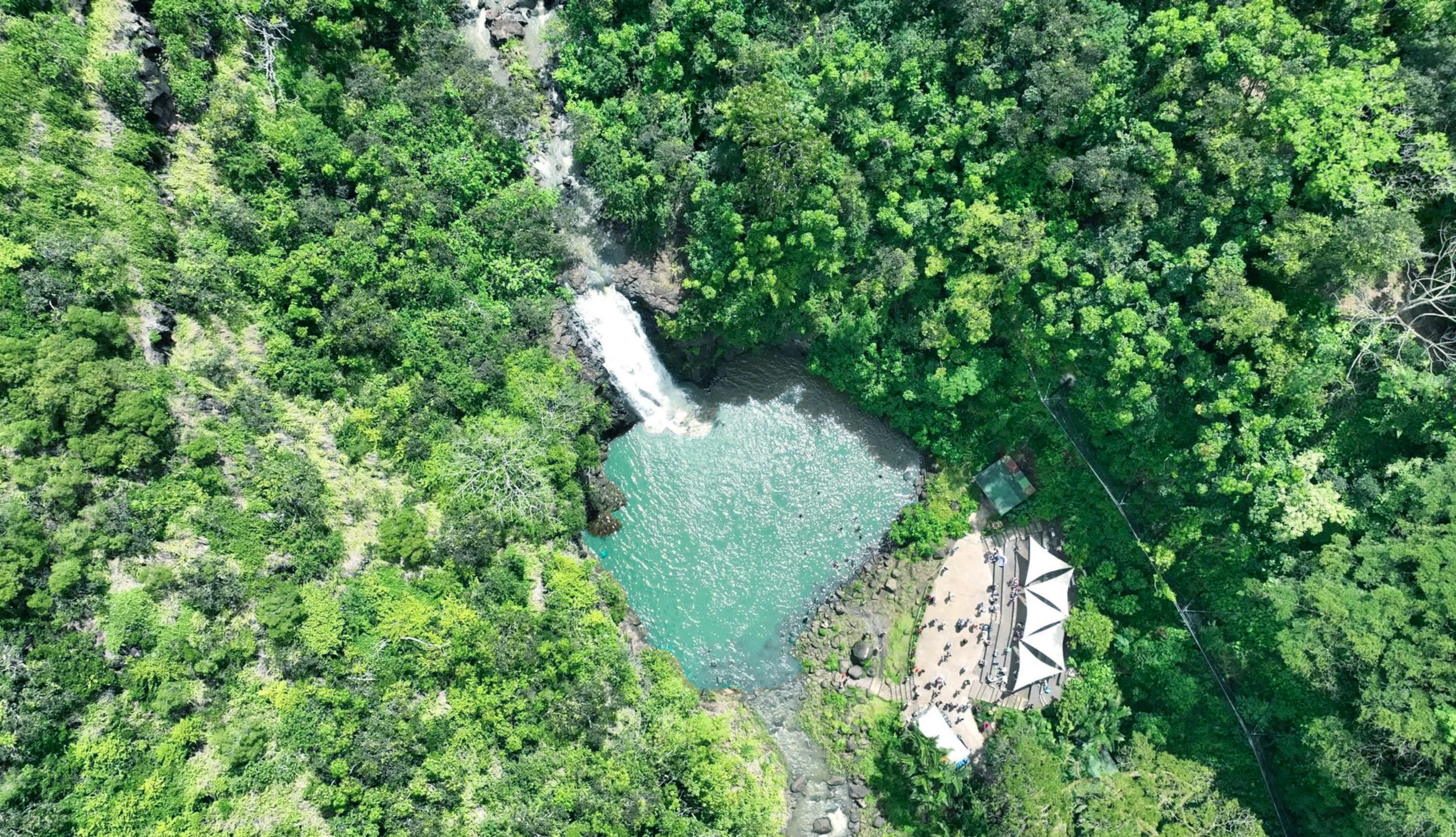 歐胡島威美亞瀑布游泳和健行（迷你早餐 & 含午餐）