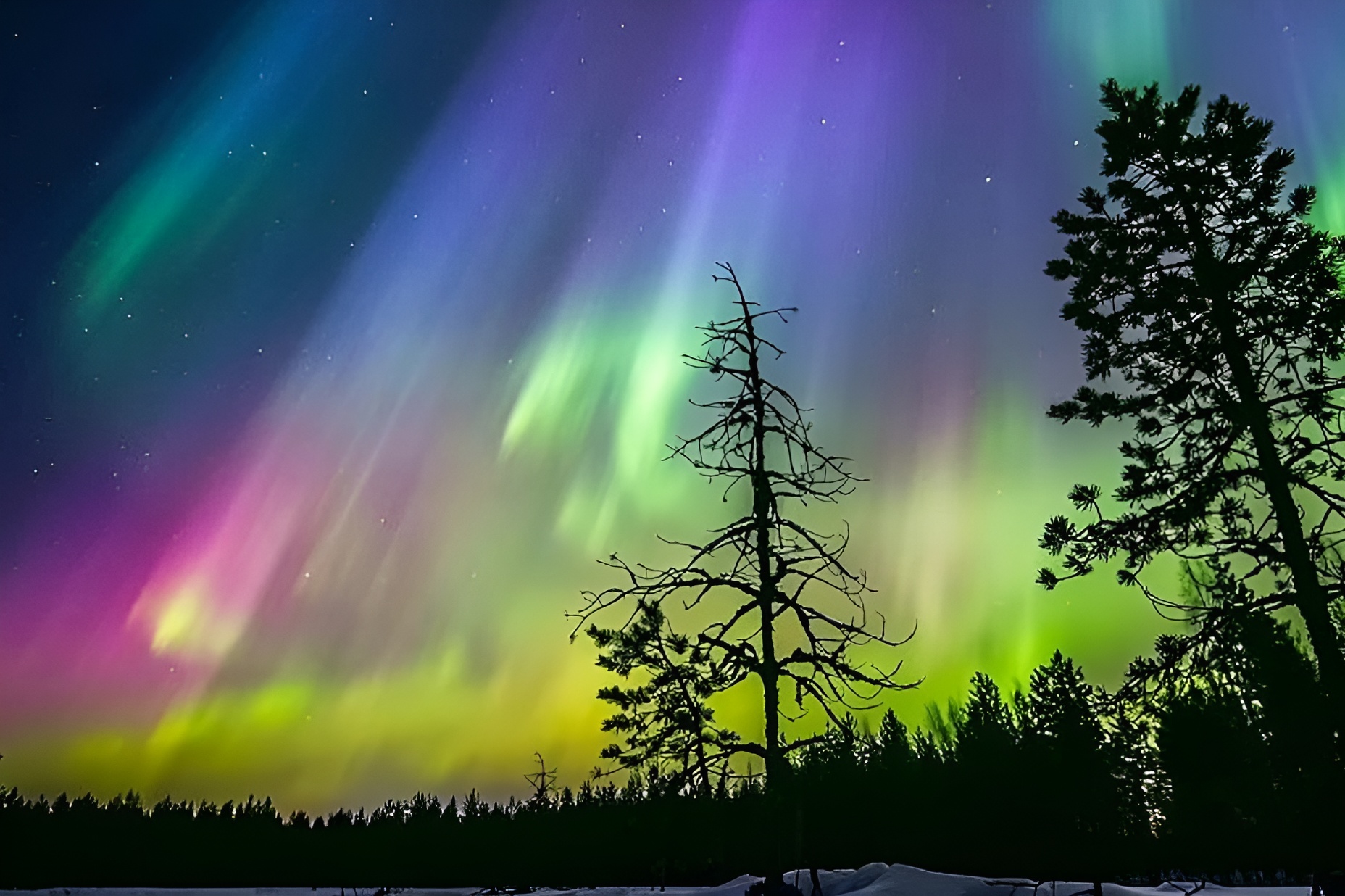 在拉普蘭的天空中見證北極光的曼妙舞姿