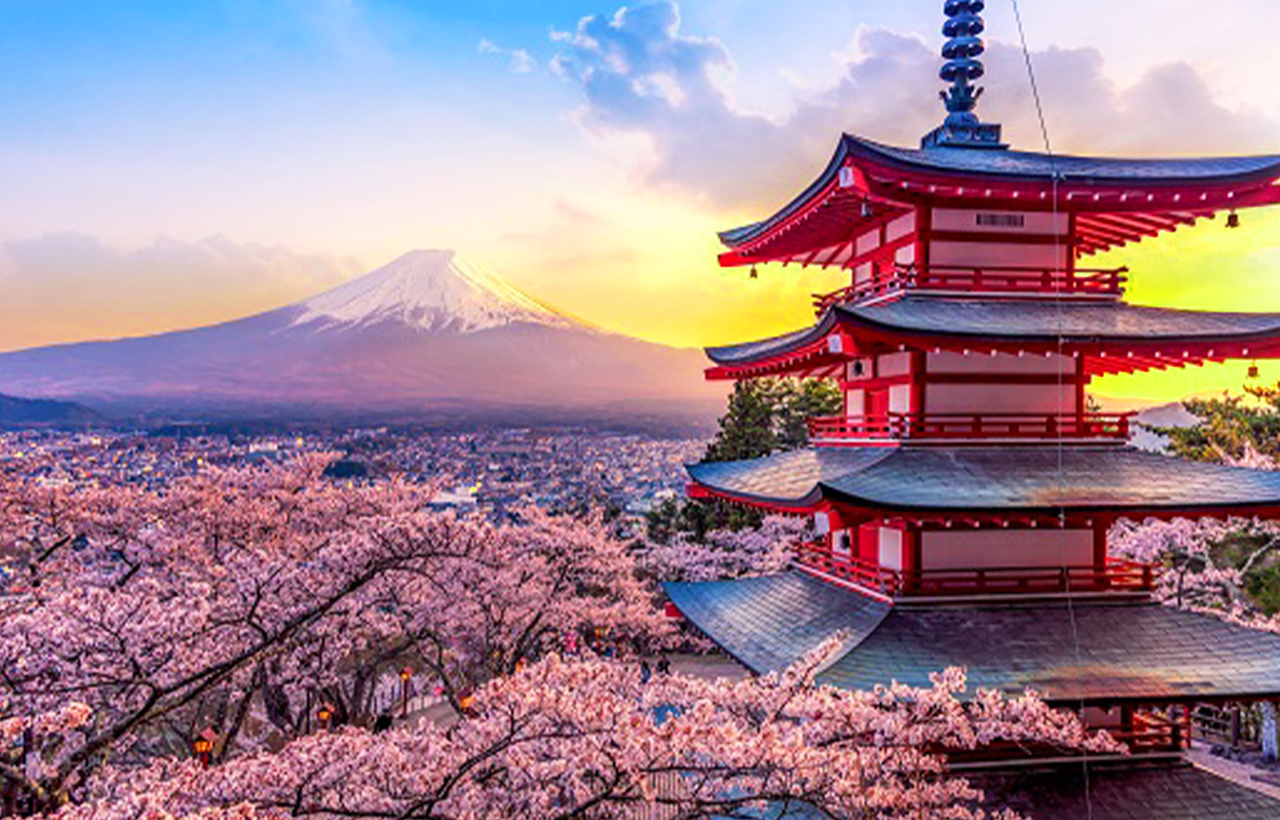 富士山山中湖單車騎行 河口湖纜車 抹茶體驗 網紅景點打卡二日遊｜4~9人精品小團｜東京/新宿出發