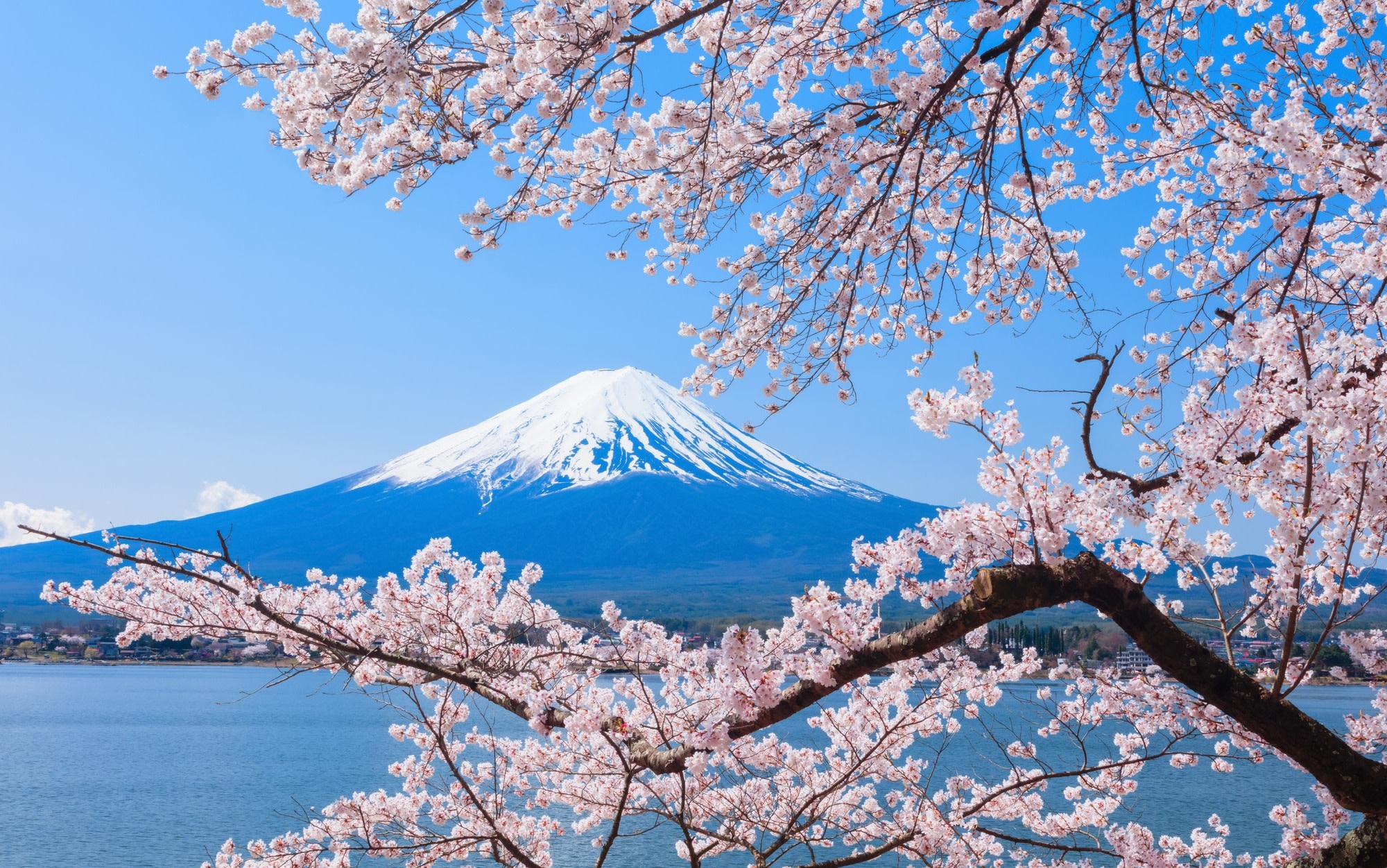 Seasonal Mt. Fuji Scenic Views, Fruit Picking and Ropeway!