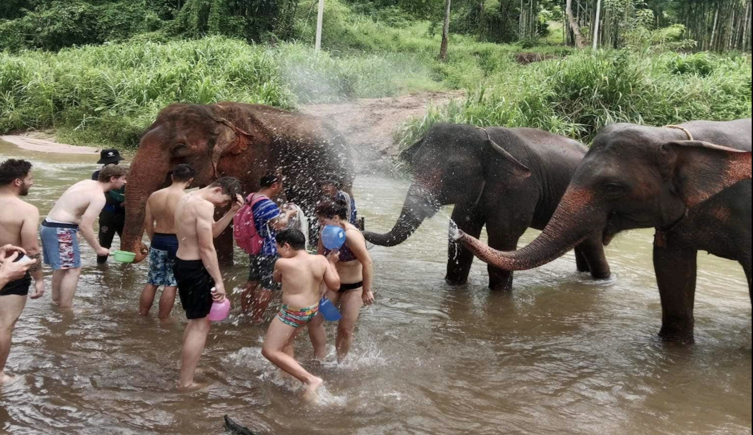 Chiang Mai Mountain Sanctuary & Bamboo Rafting Full-Day Adventure