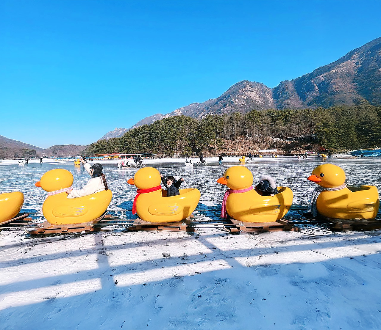 兒童和成人都可以乘坐雪橇和自行車，同時拍攝精彩的照片！