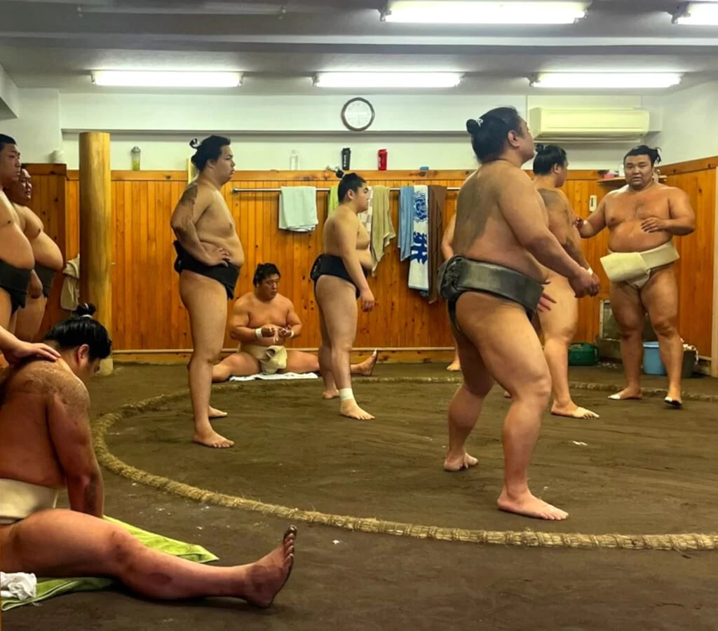 東京精彩之旅：相撲、壽司、茶道、寺廟和東京塔