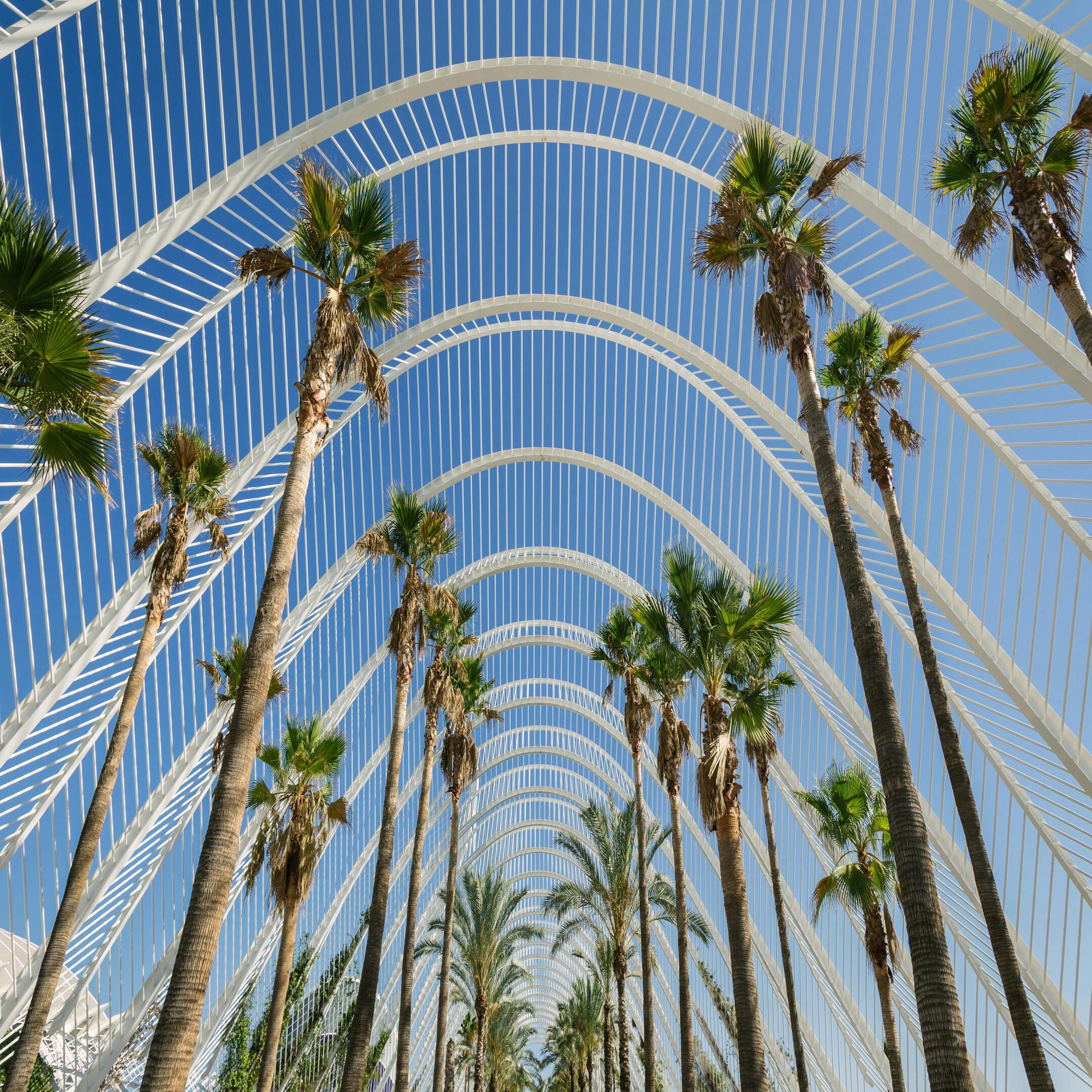 Valencia City of Arts and Sciences & Old Town Private Half-Day Tour