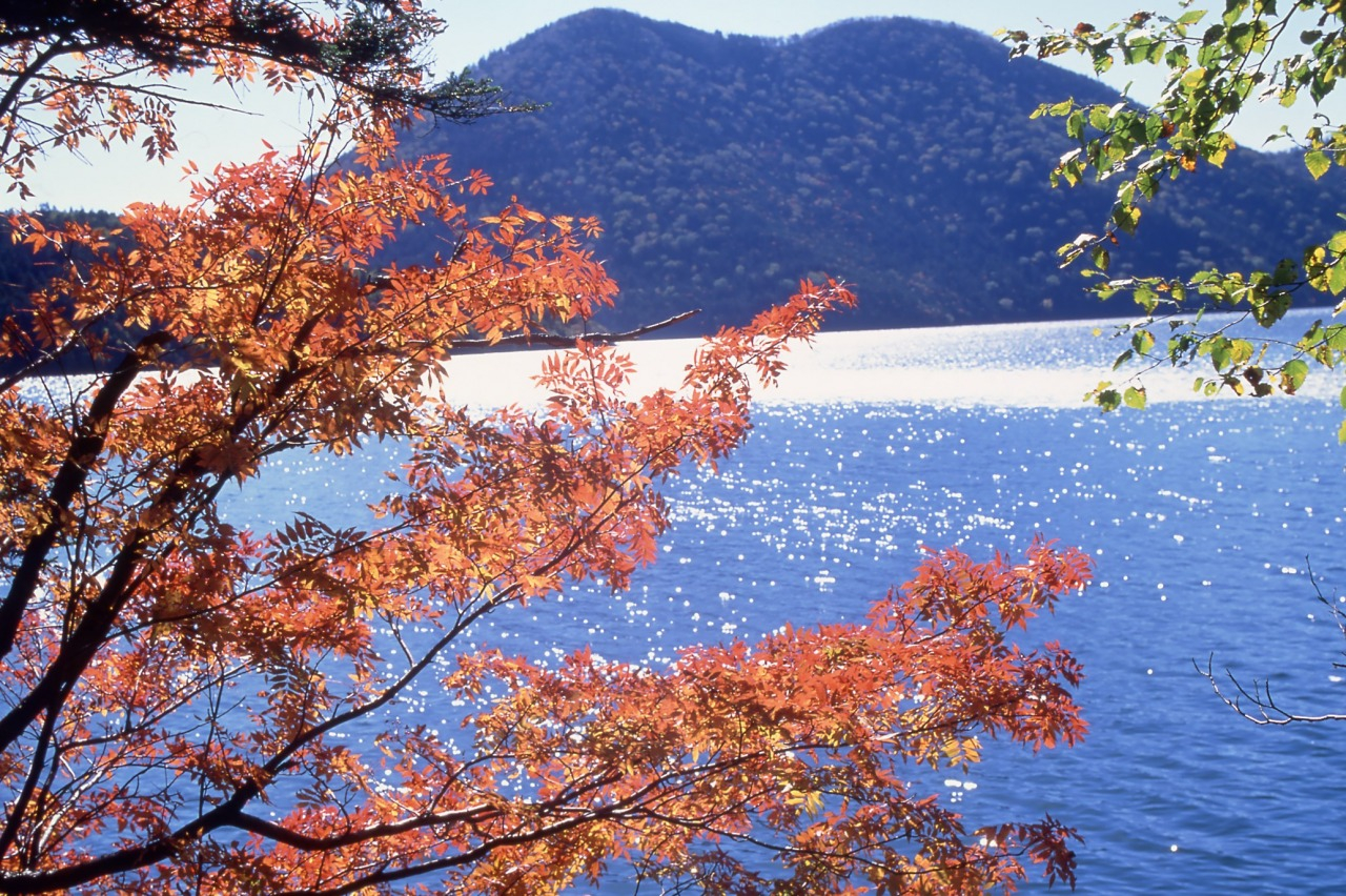 支笏湖·登別尼克斯海洋公園·洞爺湖千與千尋湖底鐵道·展望臺·天狗山·小樽·巖藻山夜景二日遊｜札幌出發