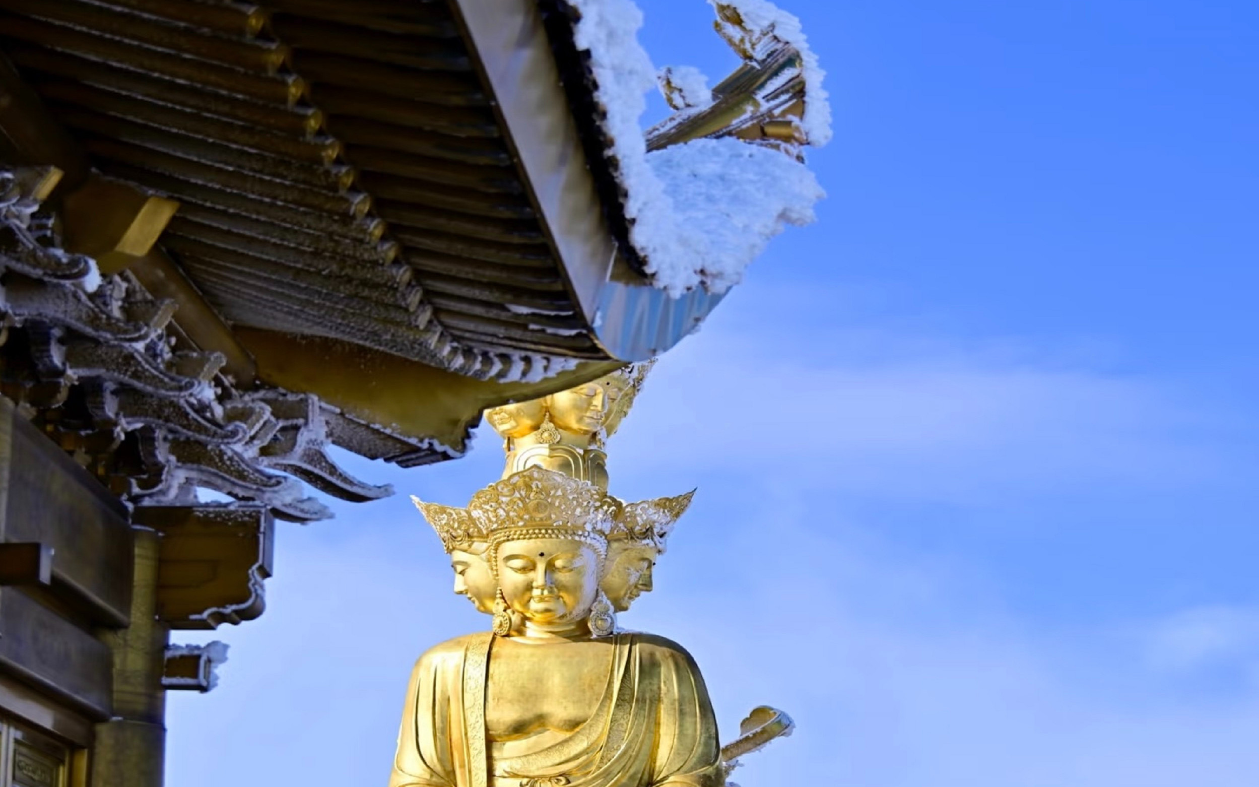 Two-day tour of Mount Emei & Leshan & Sichuan Opera Face Changing