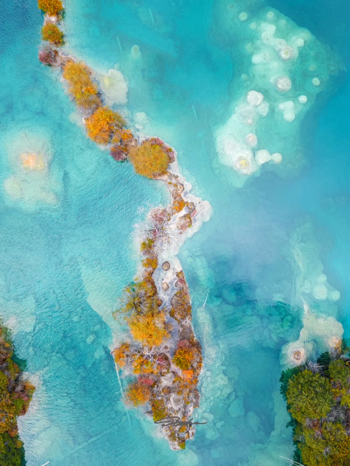 九寨-【火花海】位於雙龍海與臥龍海之間。因晴日晨昏陽光斜射時，湖面上浮現粼粼波光，宛如朵朵火花燃燒、跳躍閃爍而得名。晨昏之外，火花海一湖碧波，靜如處子。