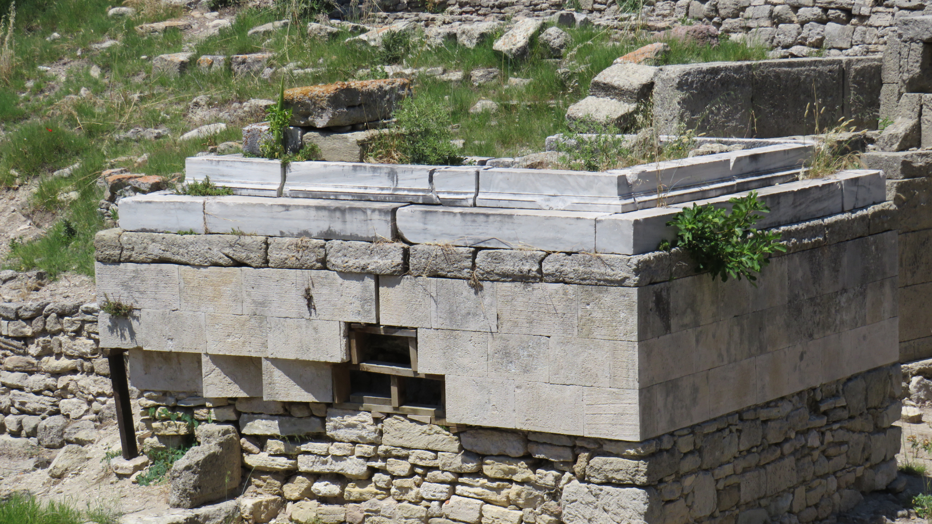 Image 5