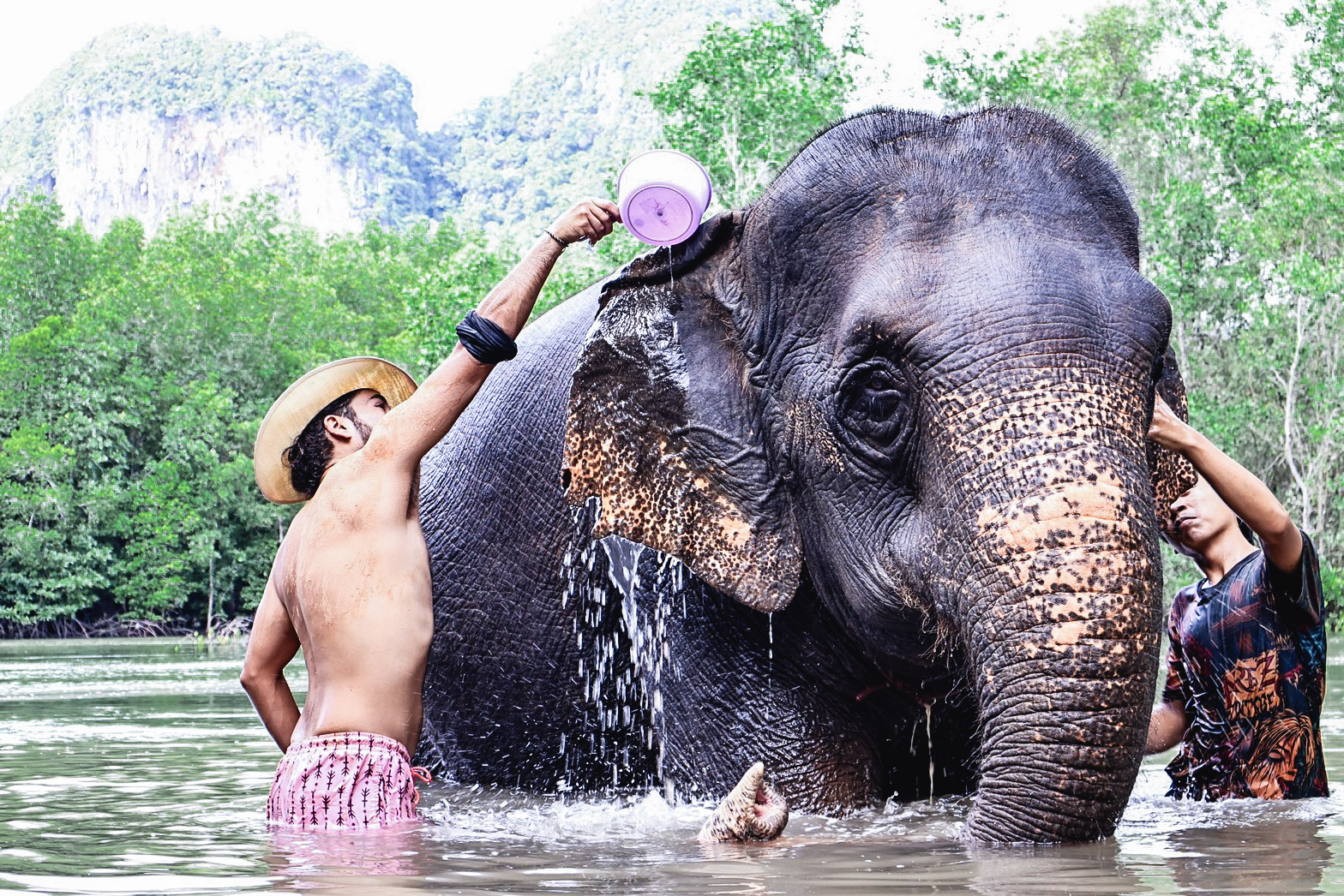 甲米大象保護區（Krabi Elephant Shelter）體驗