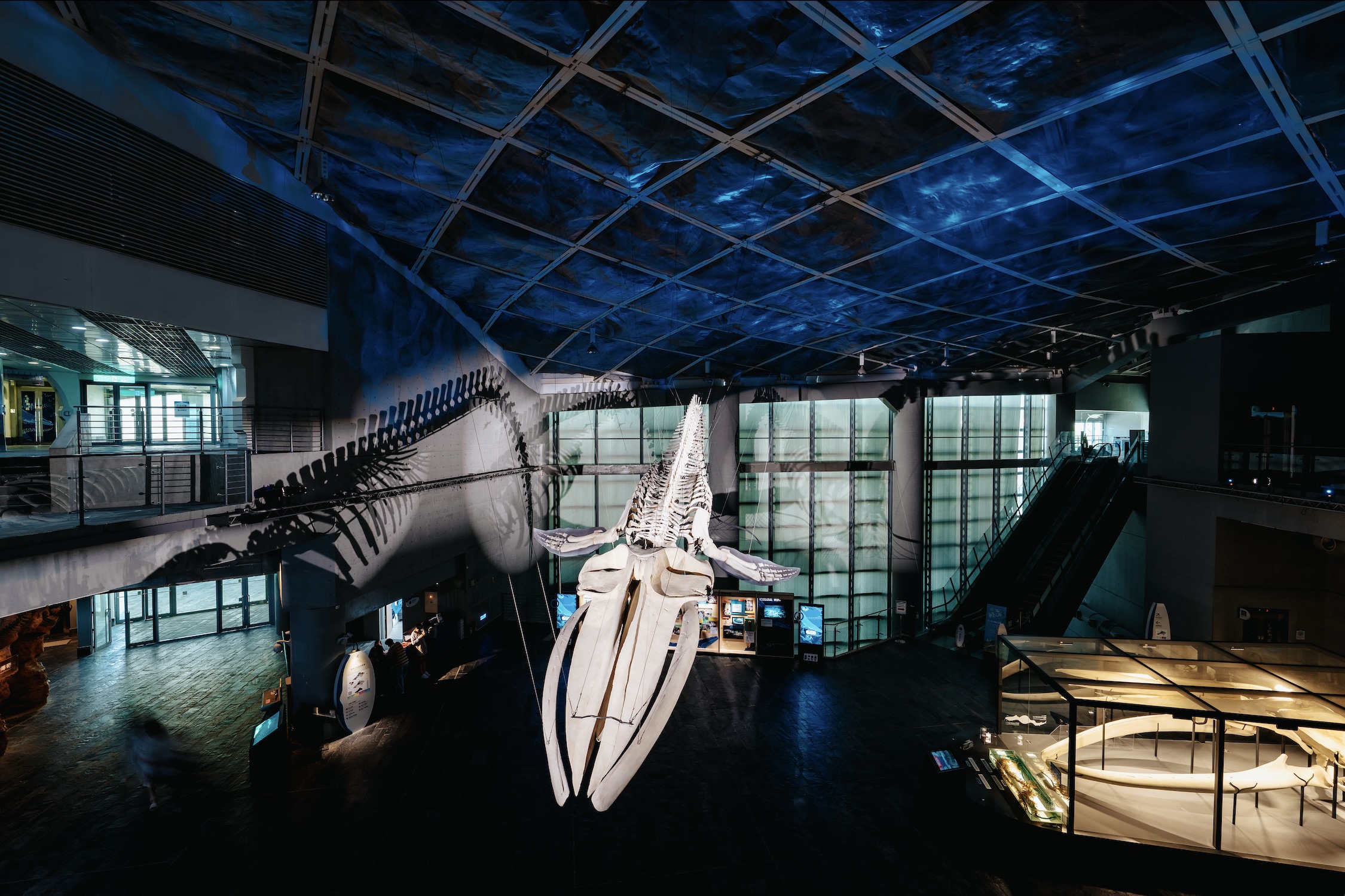 國立海洋生物博物館門票