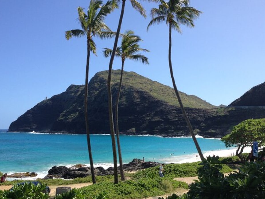 Waimea Falls and Island Gems Tour in Oahu, Hawaii