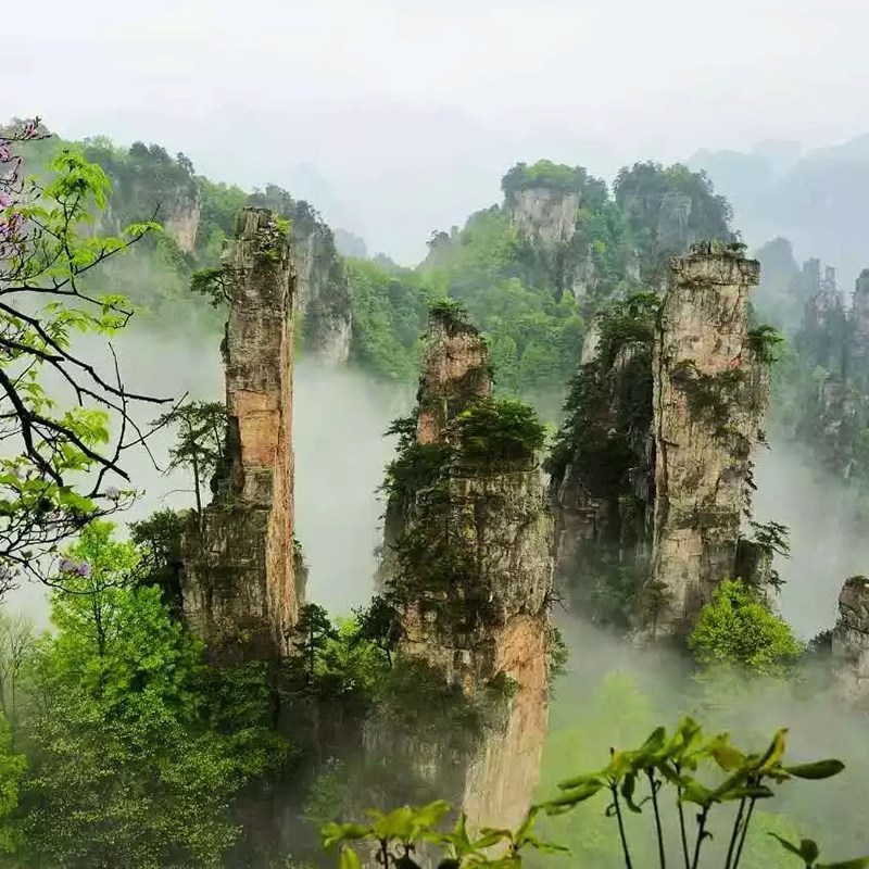 [Zhangjiajie National Forest Park + Tianmen Mountain] Exclusive Small Group 3-Day 2-Night All-Inclusive Tour