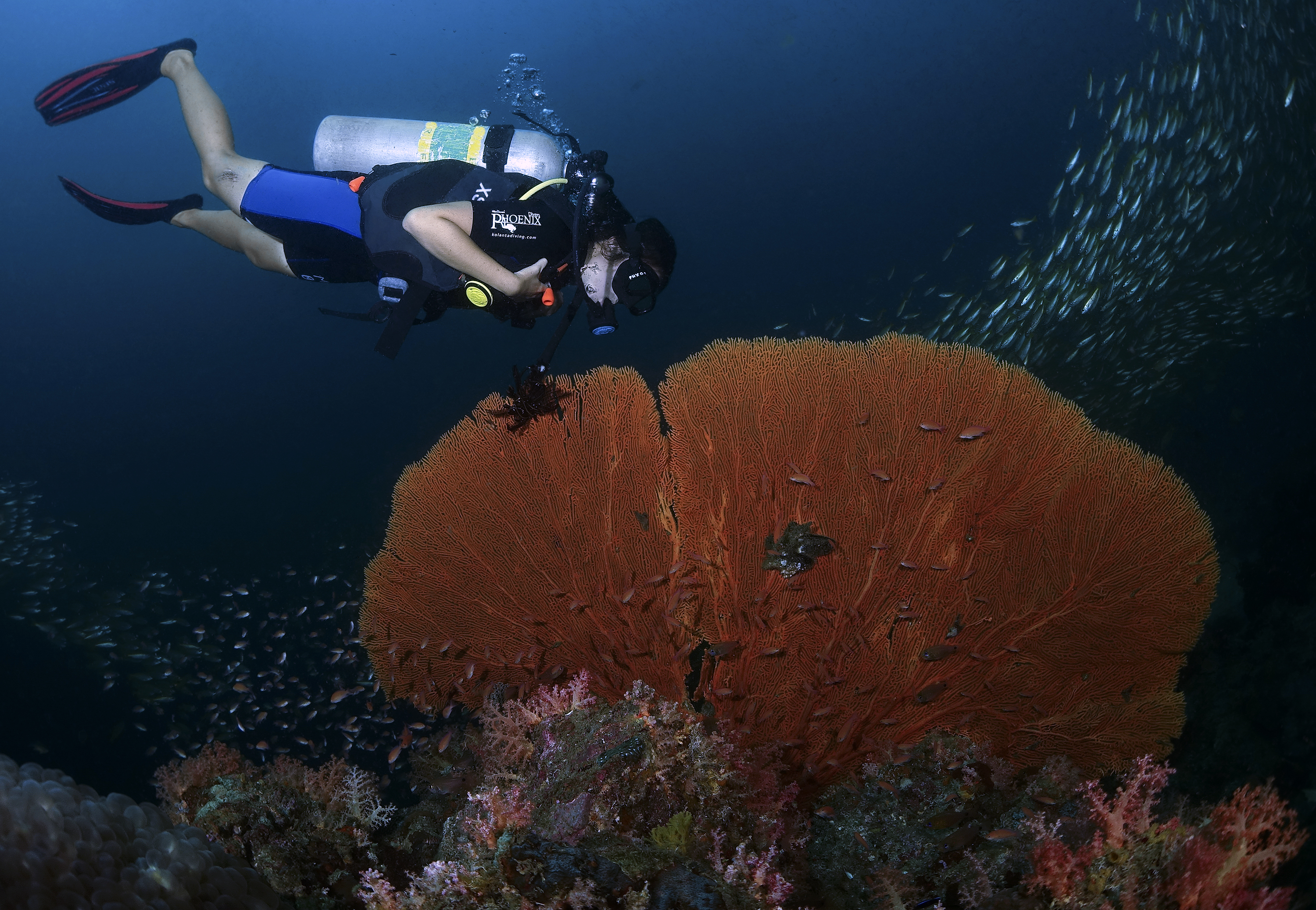 蘭塔島 PADI 五星教練發展中心高氧空氣潛水員課程