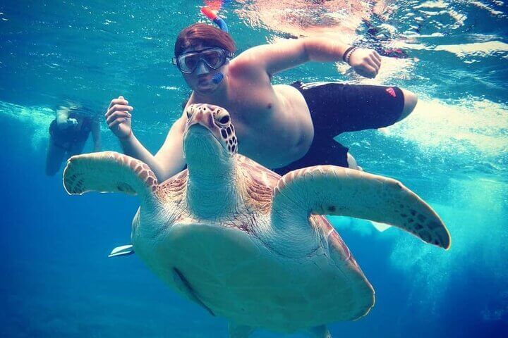 Abu_dabbab_beach_trip