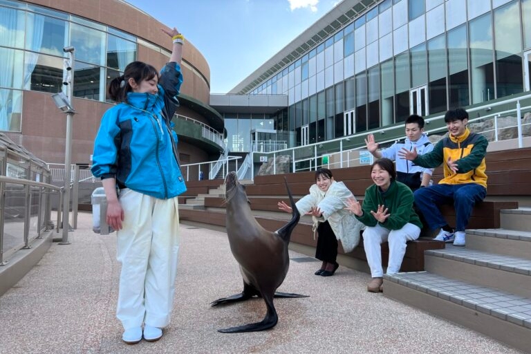 The seals can not only swim in the water, but also "walk" flexibly on land. The interaction with the staff is cute and interesting.