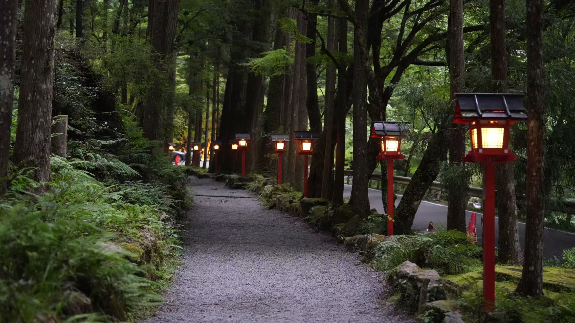 Kyoto: Arashiyama Bamboo Grove, Kinkaku-ji Temple, and Kifune Shrine Day Tour