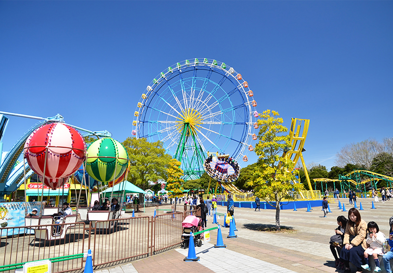 [Ibaraki Flower Sea and Food Perfect Encounter Day Tour] Oarai Isosaki Shrine, Nakaminato Seafood Market, Hitachi Seaside Park | Depart from Tokyo
