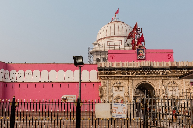 See Camel Centre, Rat Temple from Jodhpur & Bikaner Drop with Guide