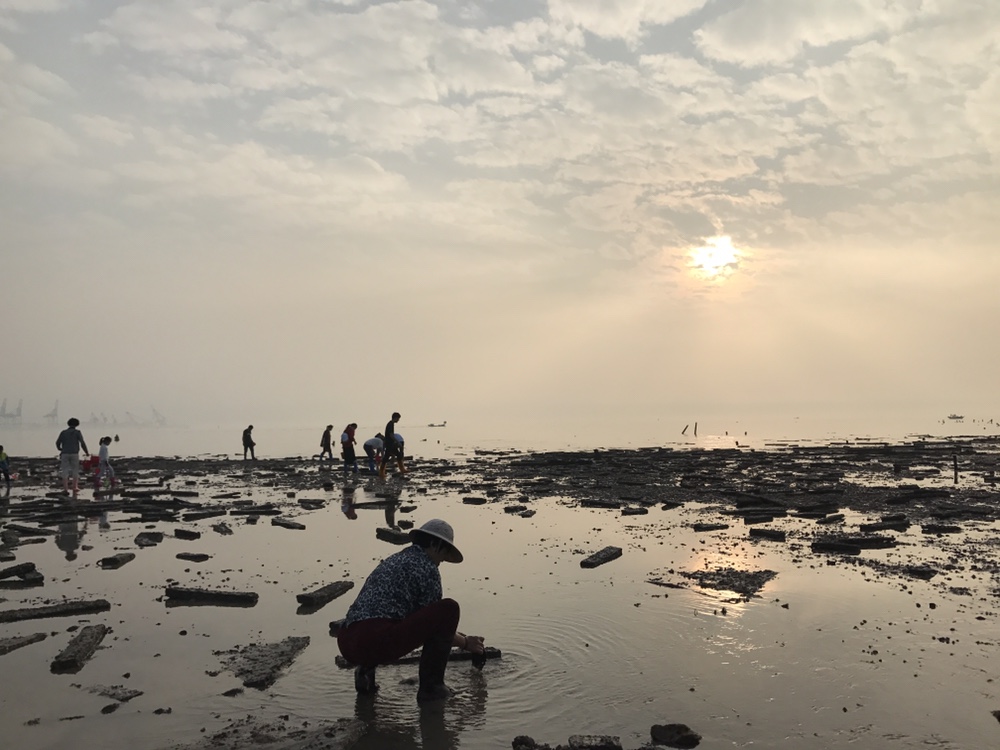 黃金海岸灘塗趕海+帆船出海+廈門海堤紀念公園1日遊（含午餐海鮮大咖鍋+帆船票）