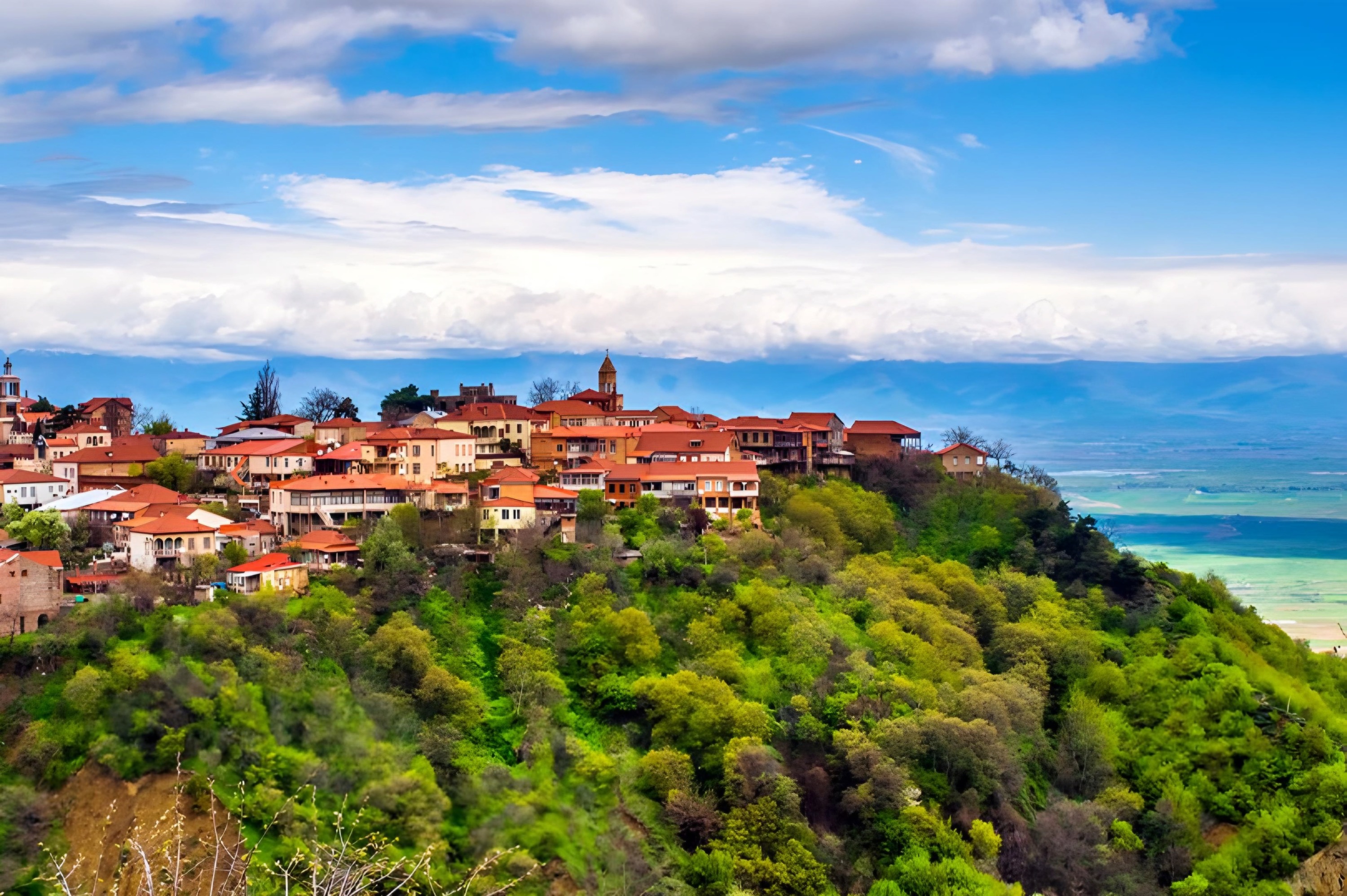 Tbilisi: Kakheti, Signaghi, & Chateau Tour with Wine Tasting