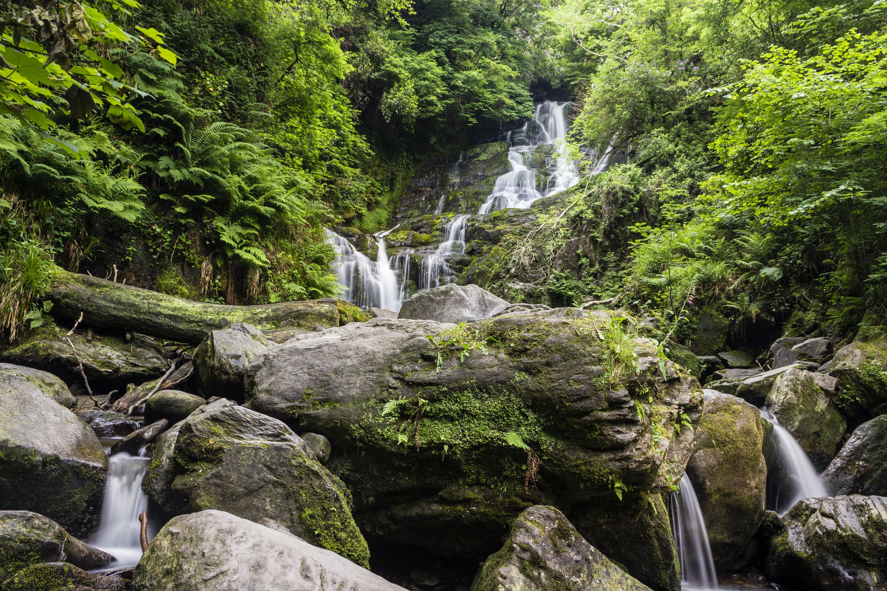 Witness the cascading beauty of the waterfall in Killarney, a true natural wonder